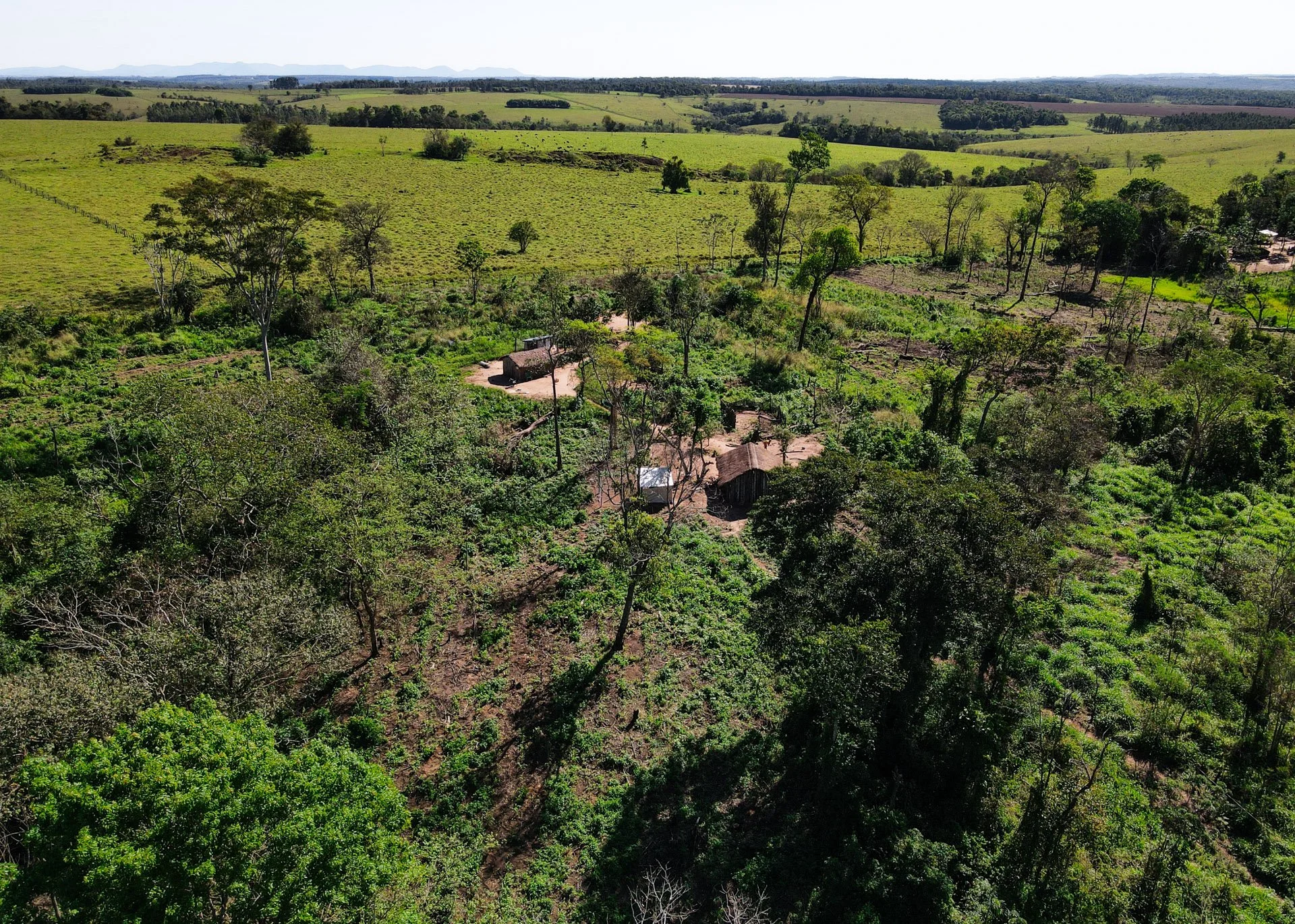 A Mbya Guarani house in Santa Teresita surrounded by deforested land outside of the community.