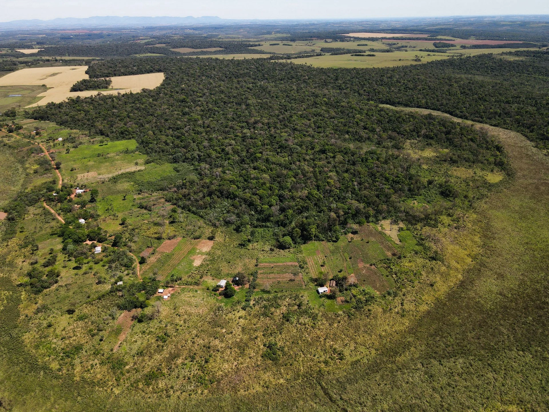 Santa Teresita’s community forest is surrounded by deforested land