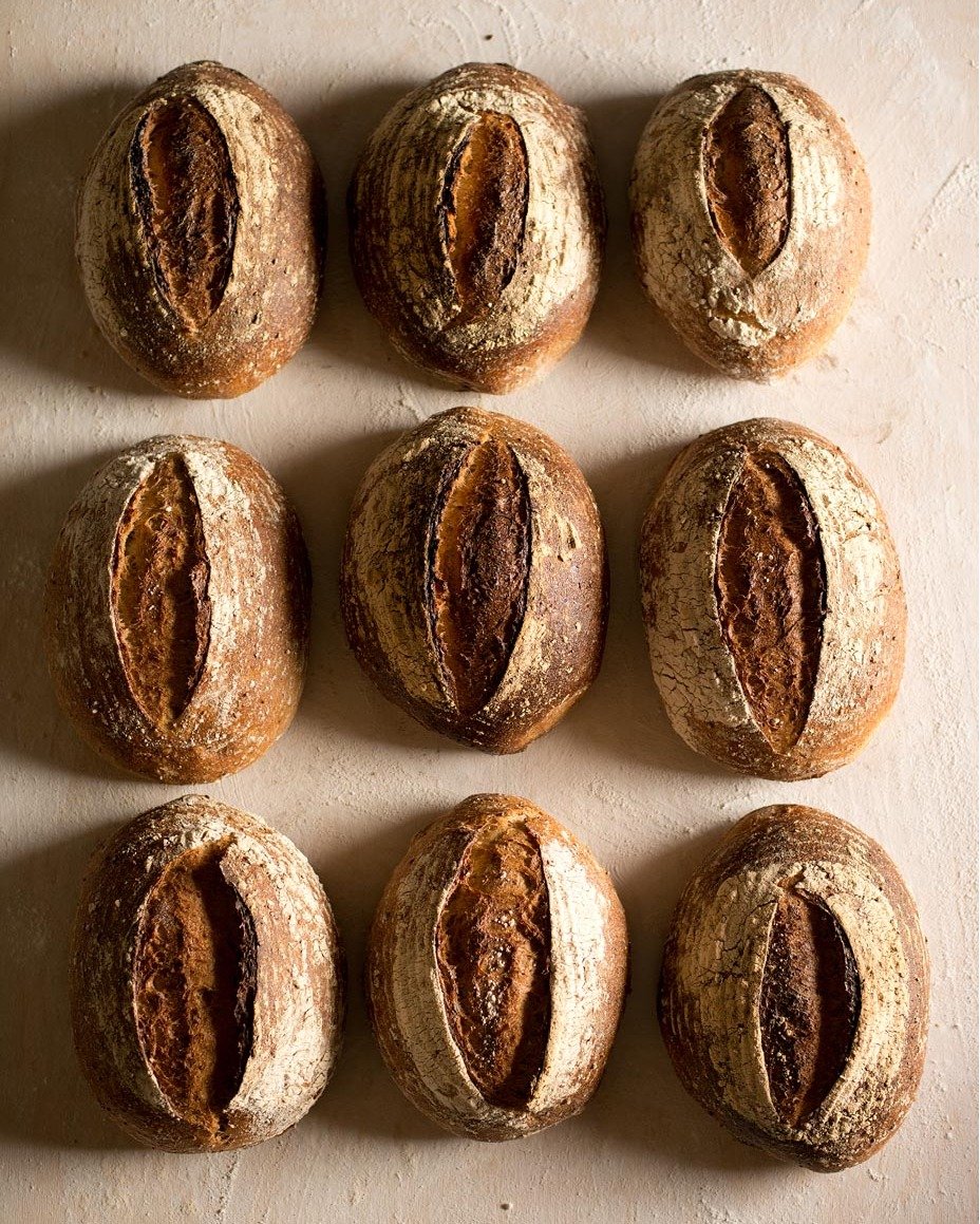 Our whole wheat bread. A heartier, coarser version of the Farm Bread, made with organic cracked wheat.
#SageBakehouse
📸 @douglasmerriam