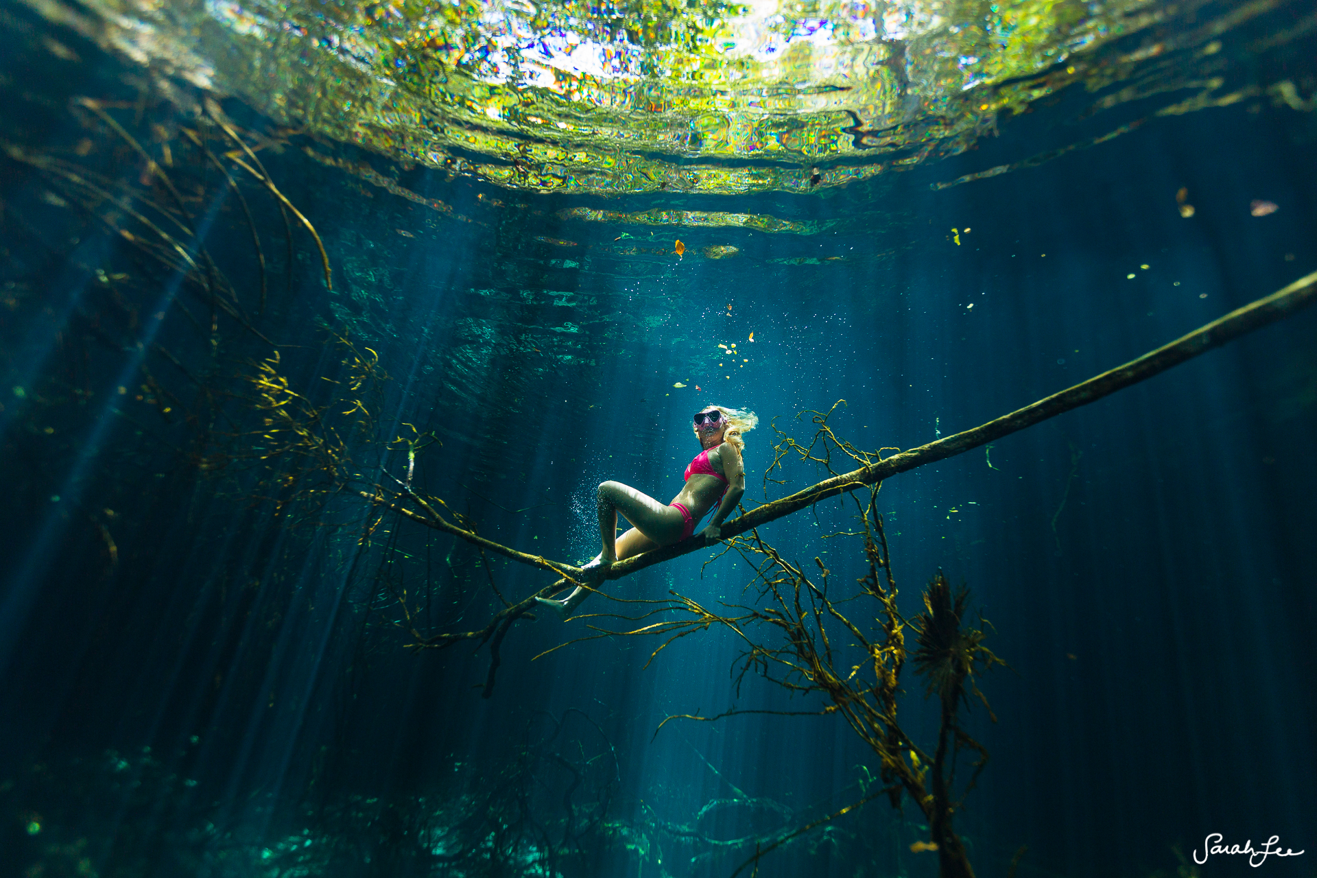  Exploring an untouched cenote with Alison Teal and cave explorer Sam Meacham. Photo taken with a Canon 5D MKIII + 8-15 fisheye lens in an Outex Water Housing and dome port. 