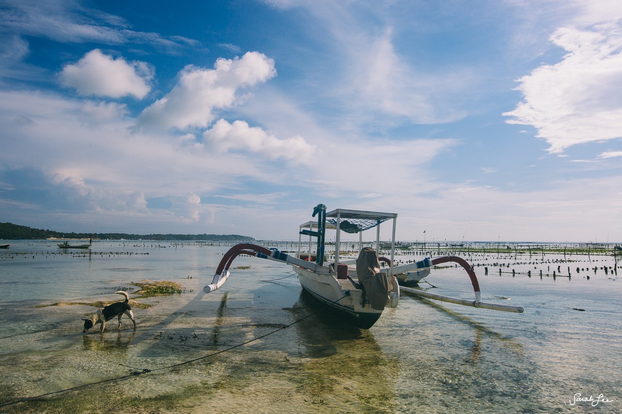 150503_LEMBONGAN-WD_3313-1280x853.jpg