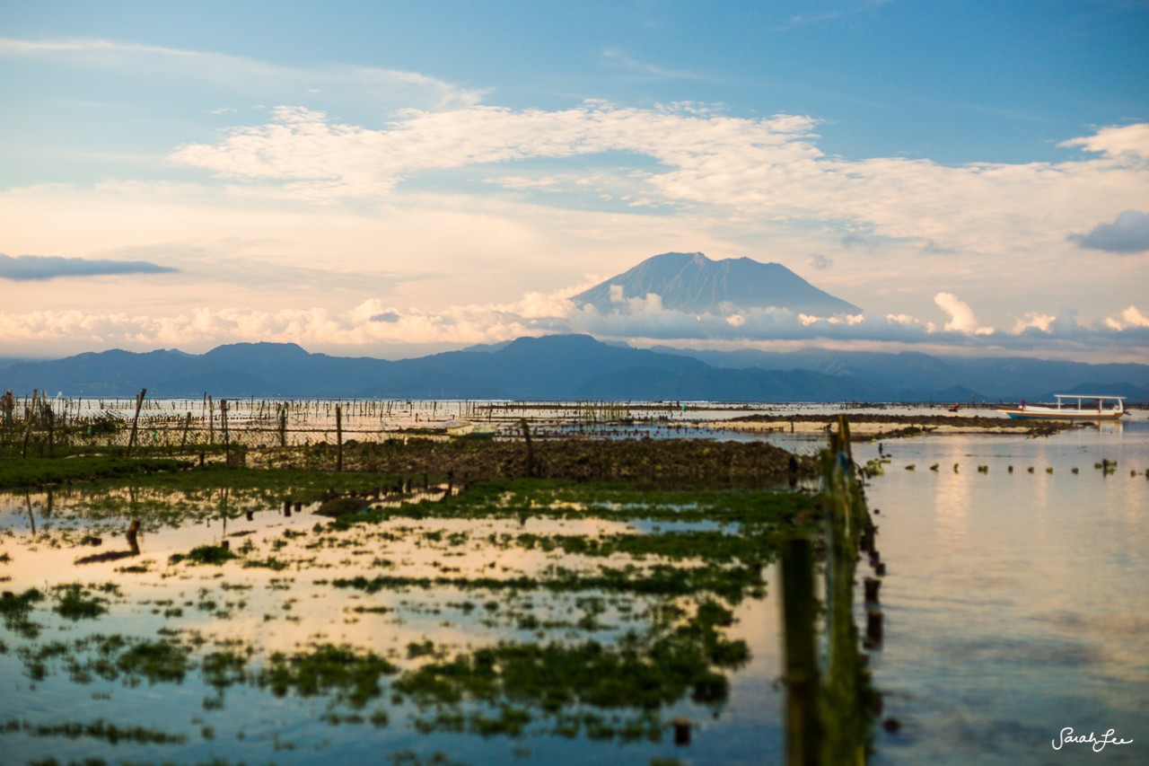 150503_LEMBONGAN-WD_3744-1280x853.jpg