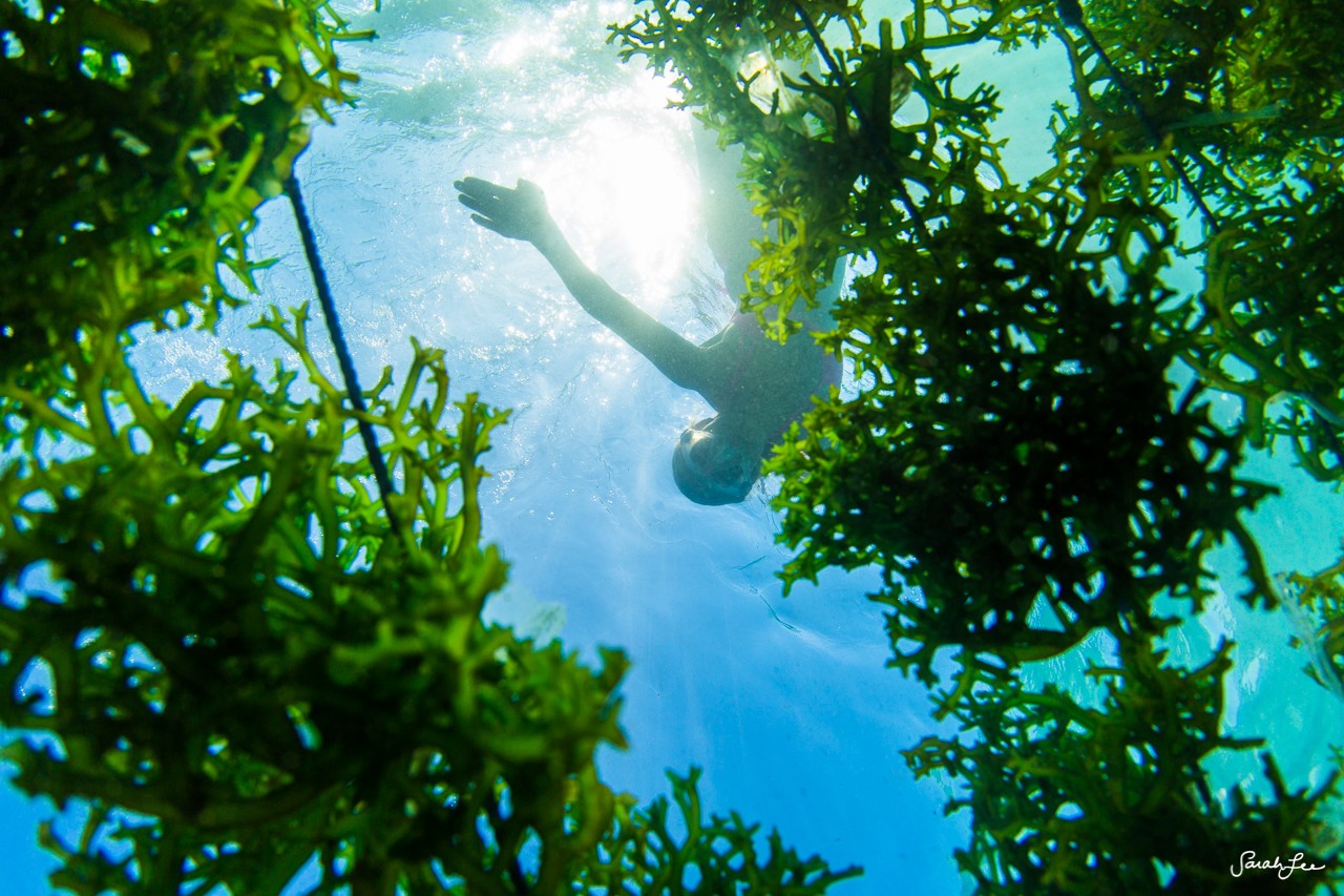 150507_LEMBONGAN-UW_4190-1280x853.jpg