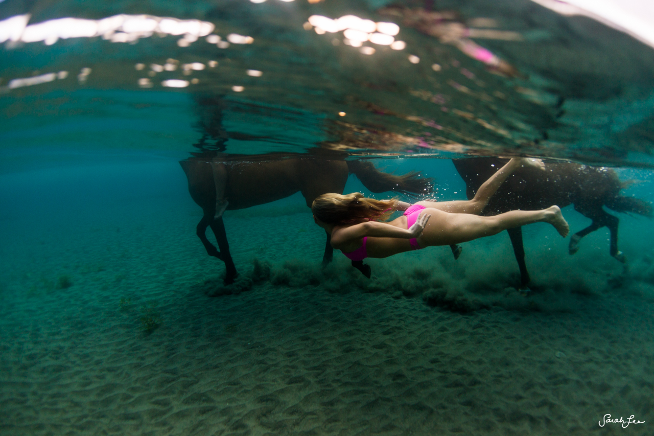Swimming with Horses in the Caribbean