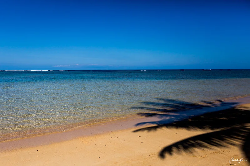 kauai_8.jpg