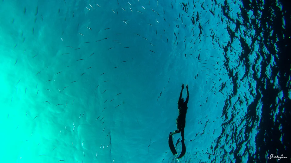 Taken on a GoPro Hero 4 Silver Edition.