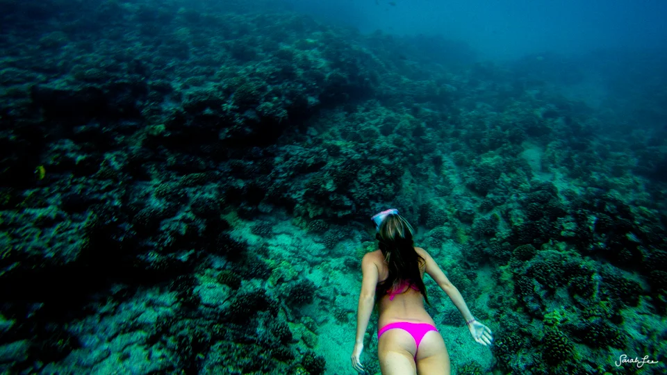 Taken on a GoPro Hero 4 Silver Edition.