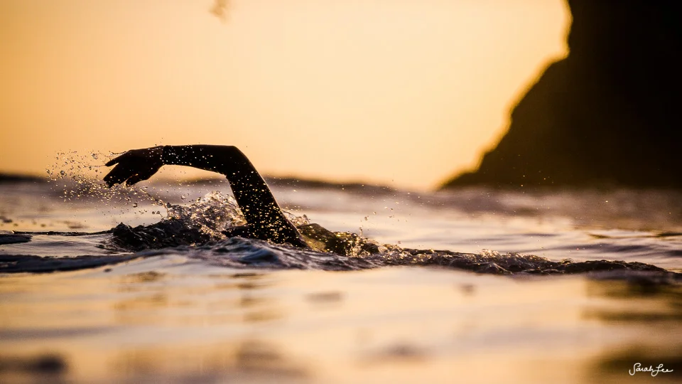 photo: sarah lee