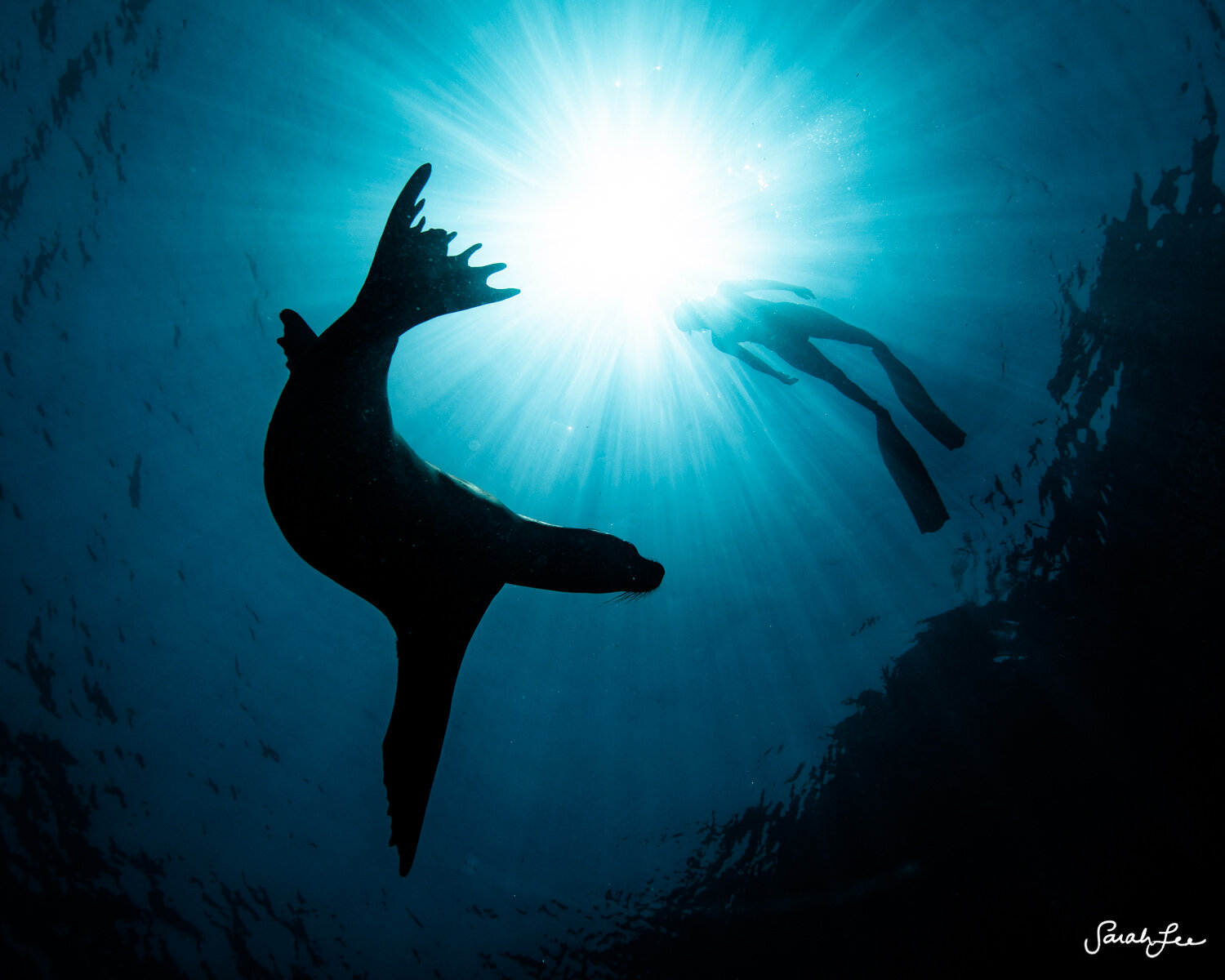 Galapagos Adventure with Galapagos Exclusive Tours