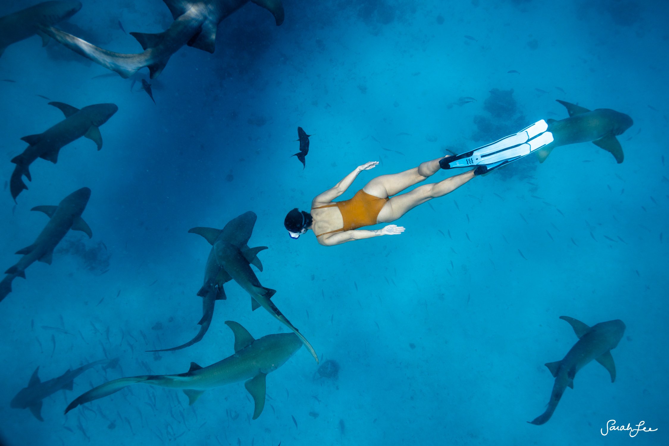 Woman swimming with sharks in the Maldives underwater