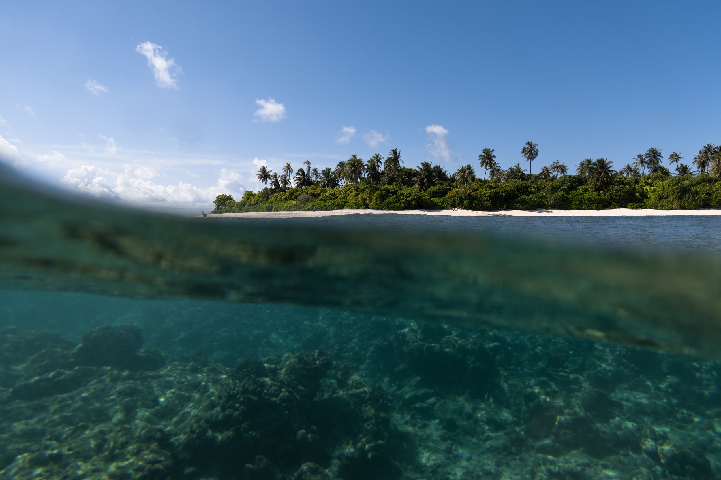 Uninhabited island in Maldives with palm trees, reef, and white 