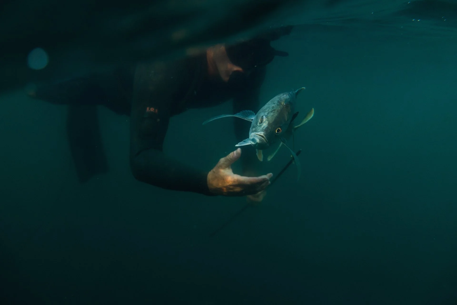  Spear Fisherman Cameron Kirkconnell at Naviva, A Four Seasons Resort, Punta Mita, Mexico  