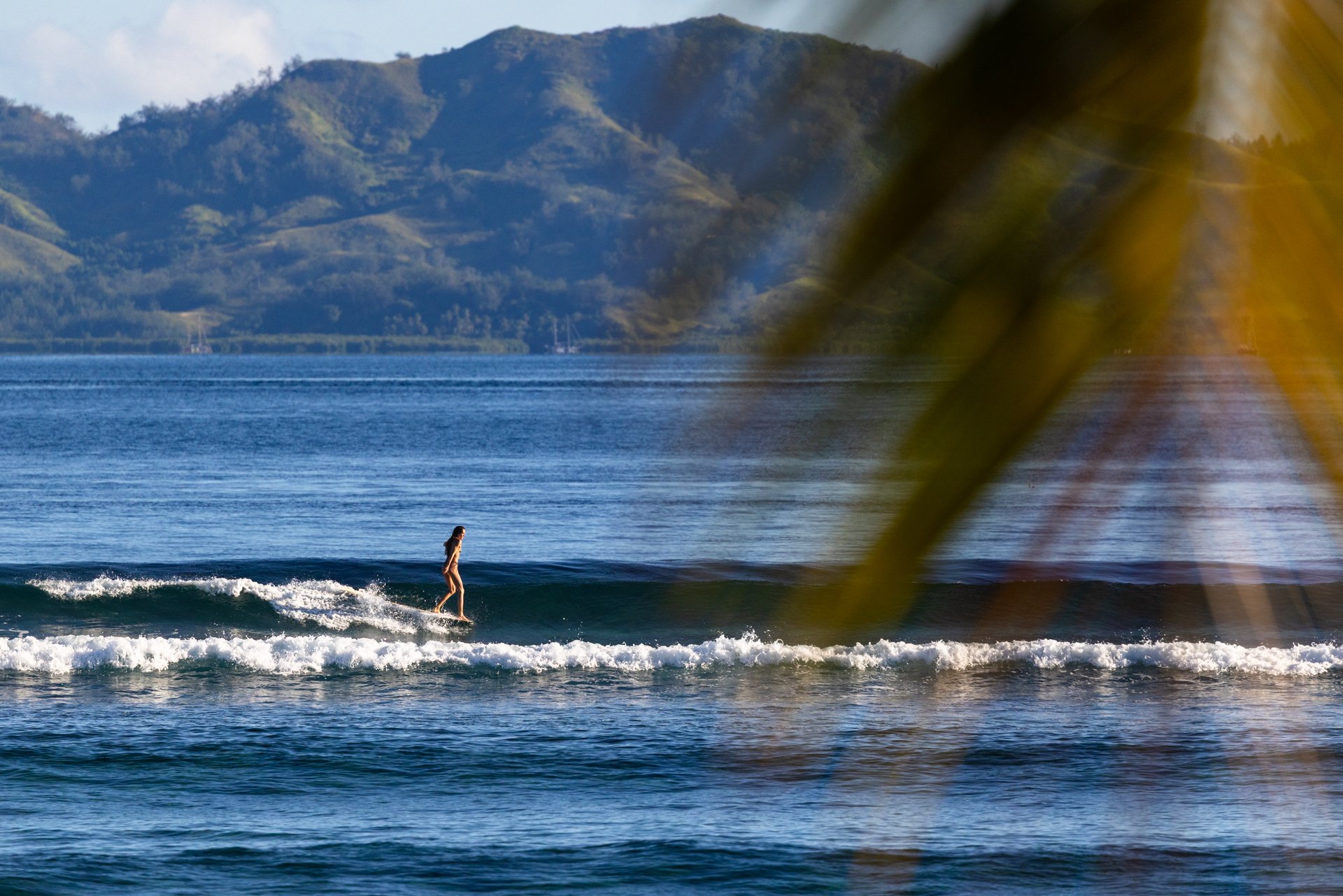  Sometimes you can longboard Restaurants. 
