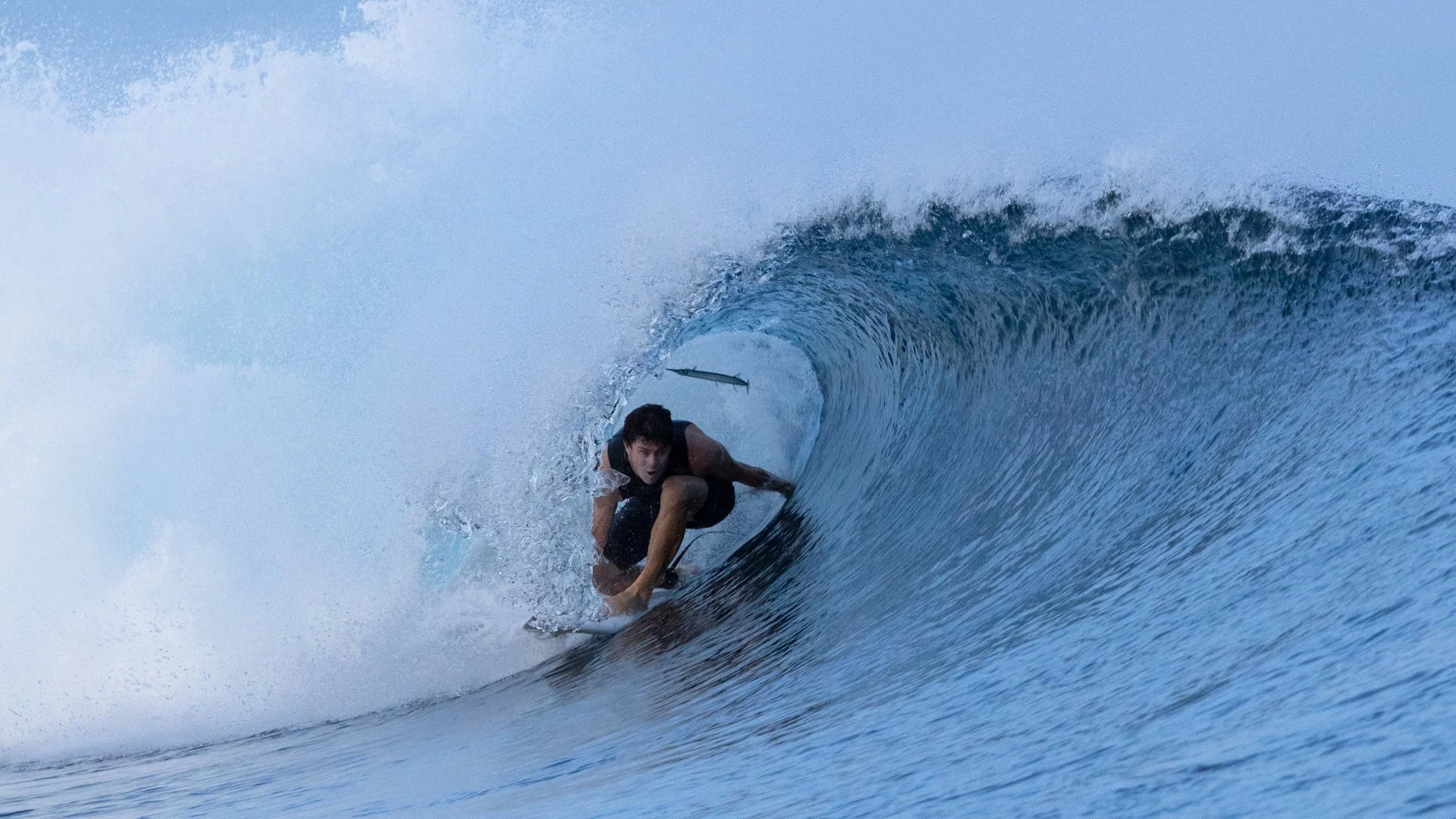  “fish in a barrel” for real 