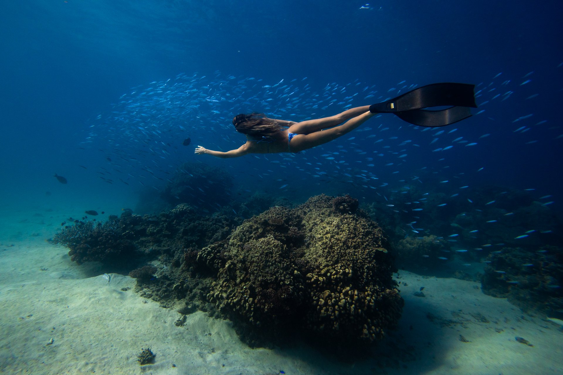  Tavarua Island Marine Reserve 