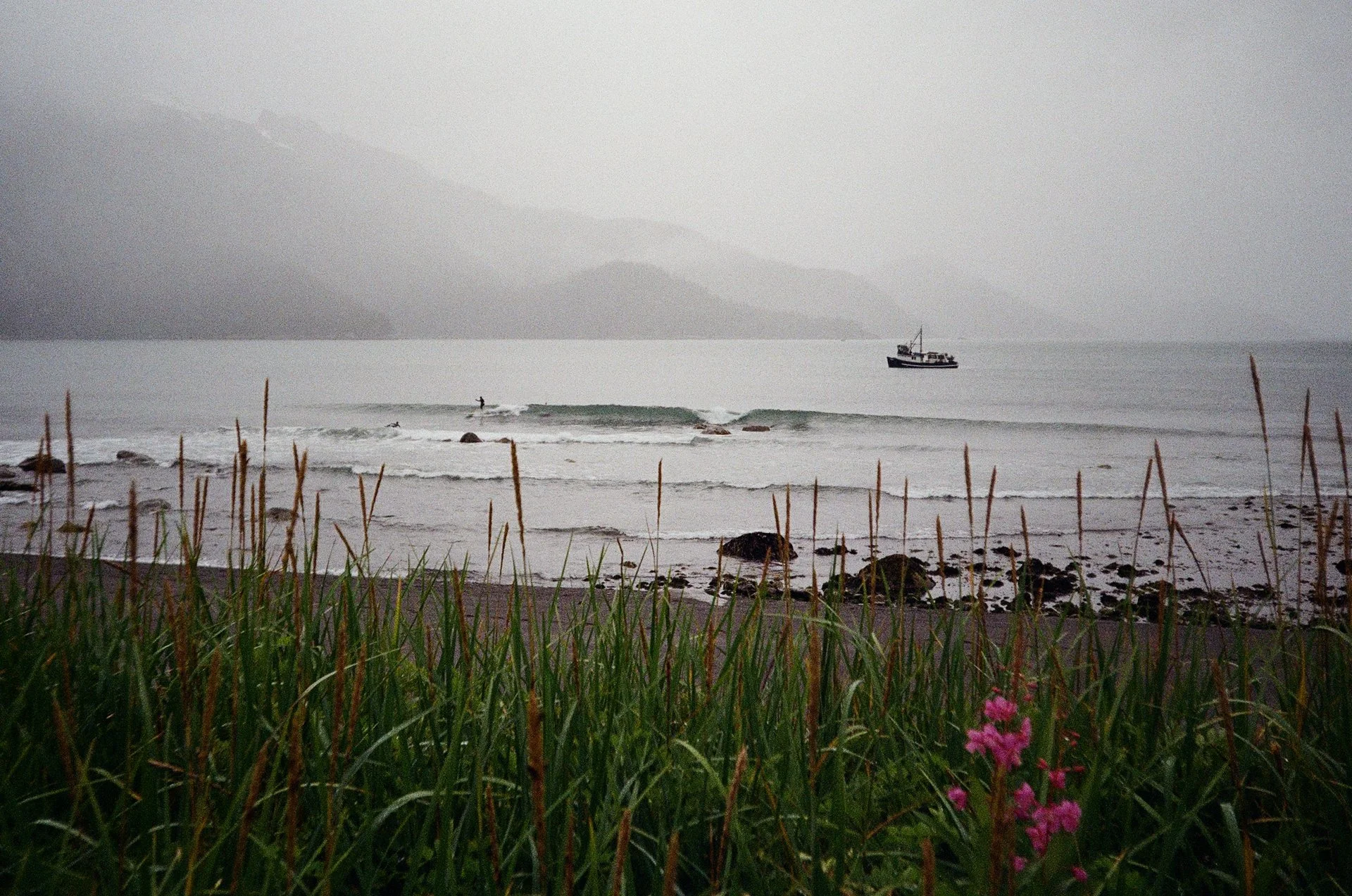 2025 Q3: Alaska, Baja, Fiji, Japan