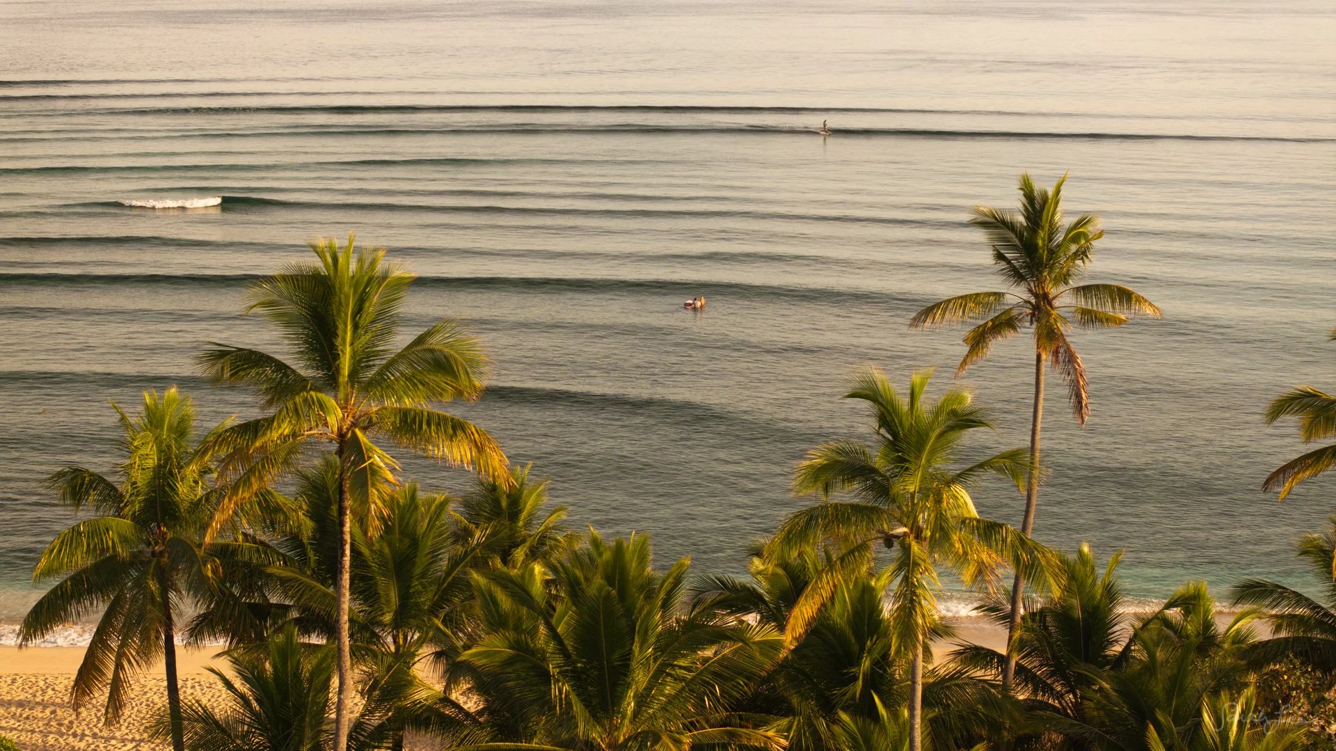 2025 Q4: Fiji &amp; Oahu