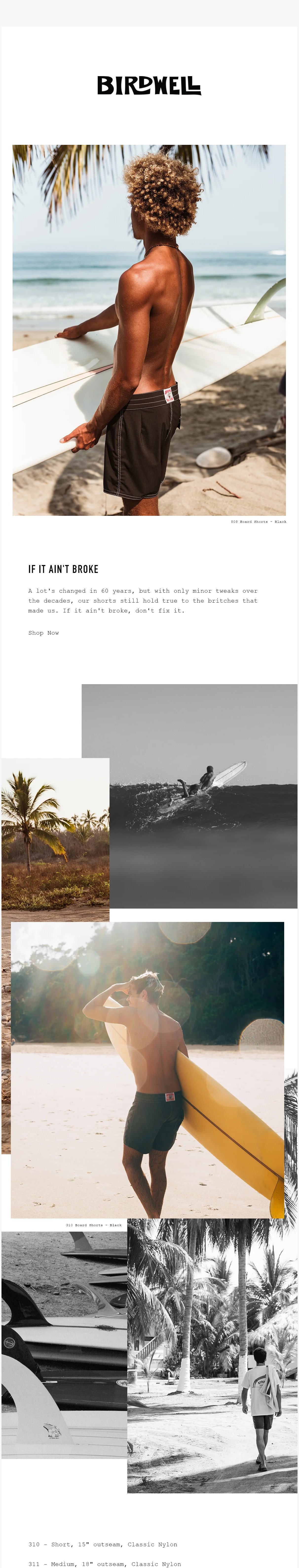 Birdwell - 2022-08-15 - If it ain't broke.jpg