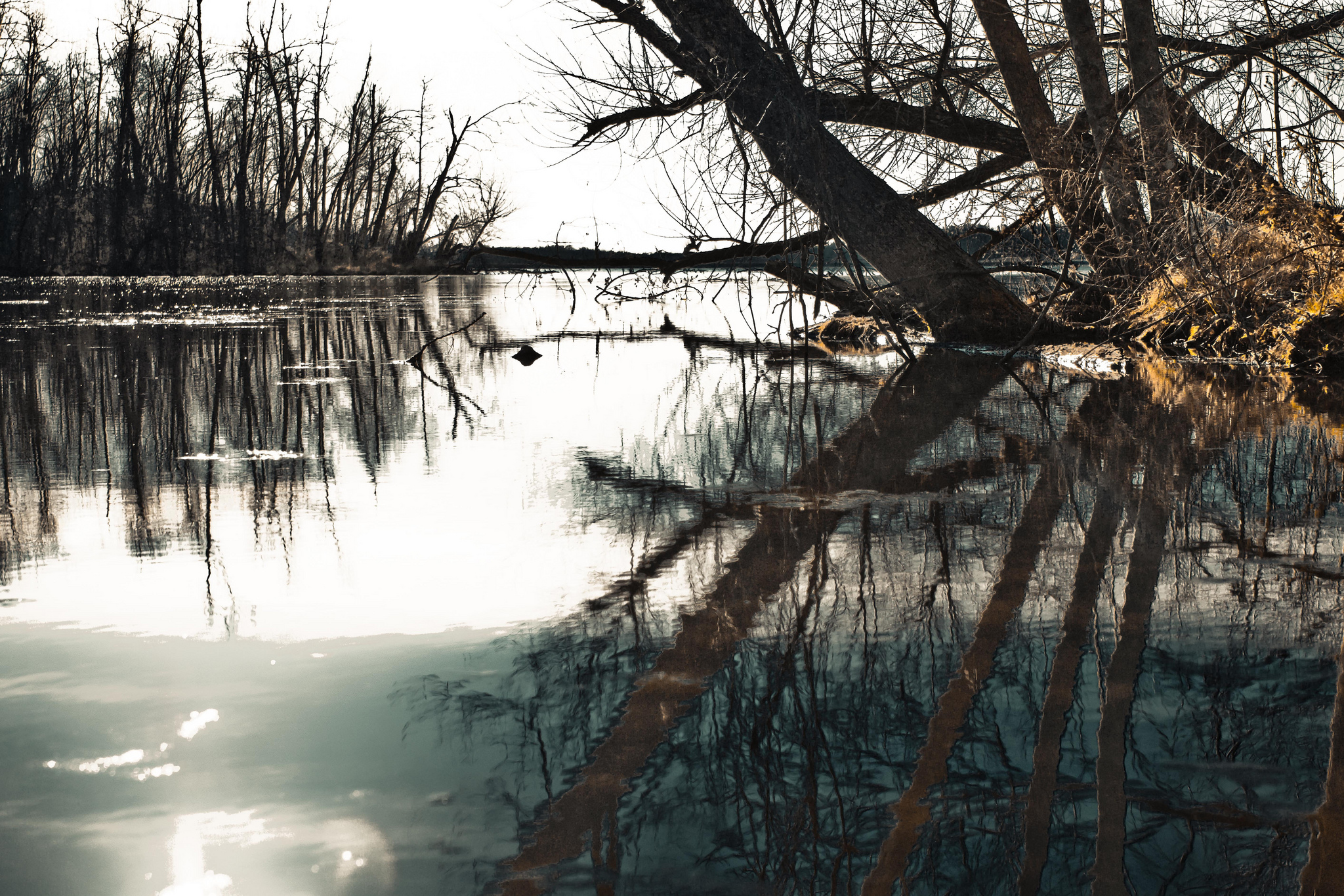Cold reflections make it beautiful