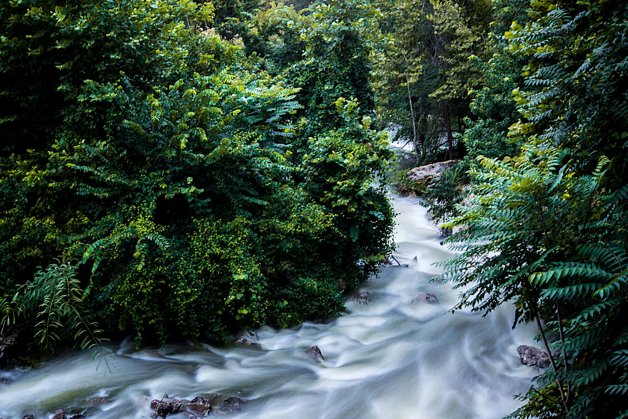 Flow of the Water (1 of 1)-2.jpg