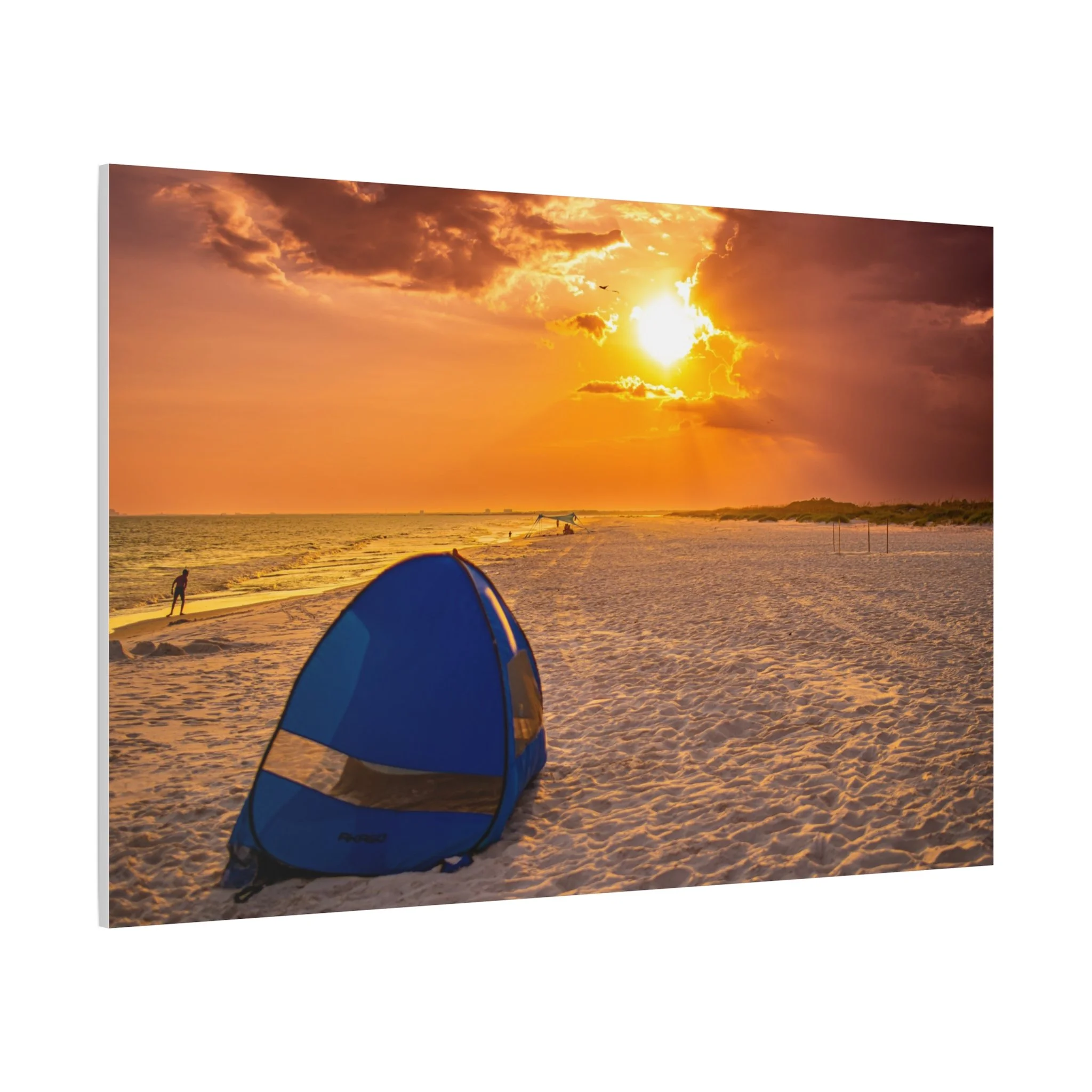 5ec5dc63619272291dd87fbc11cfe118