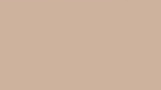 Screen Shot 2019-03-29 at 2.50.43 PM.jpg