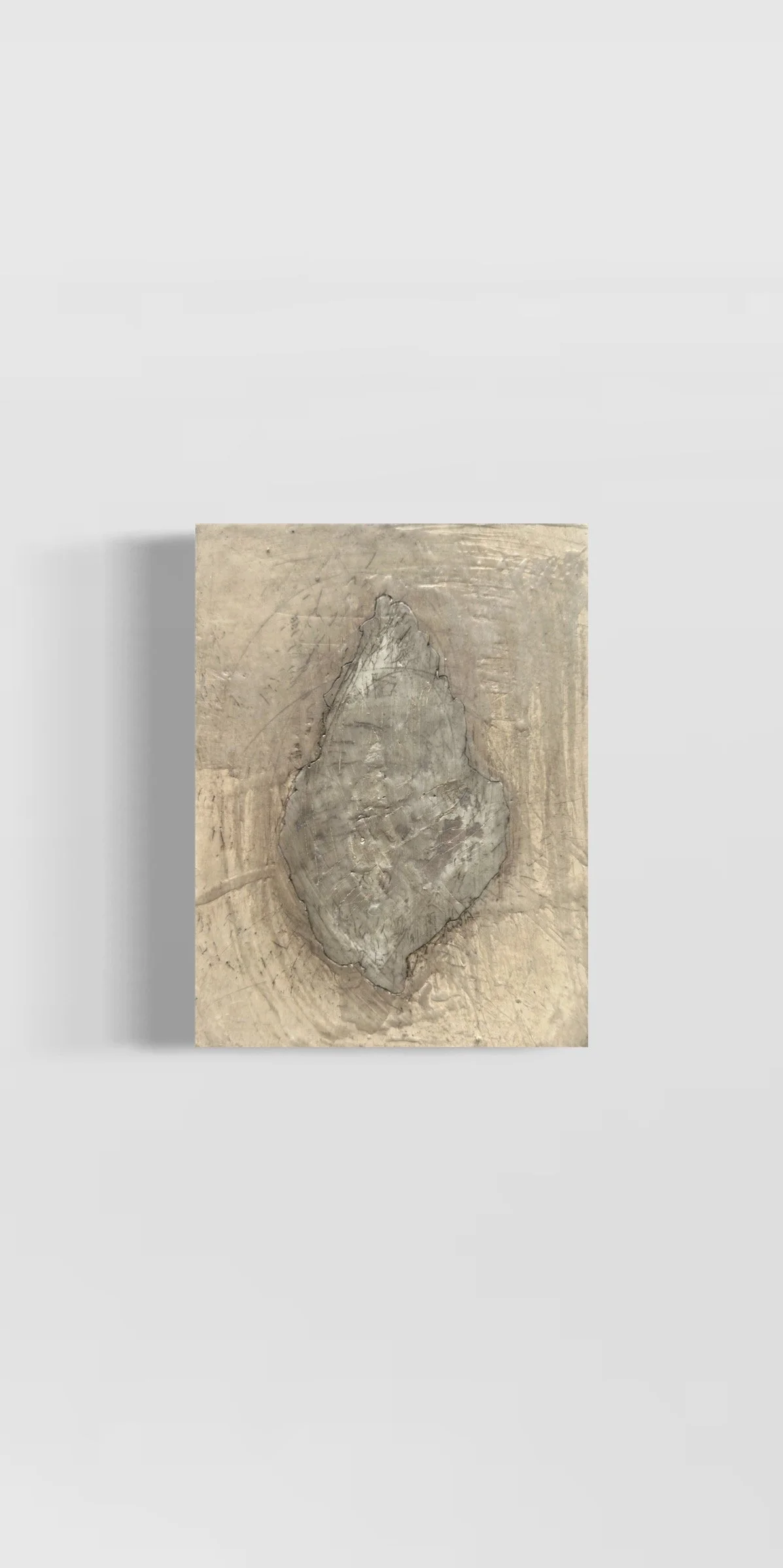 After The Storm / Shell Study IV