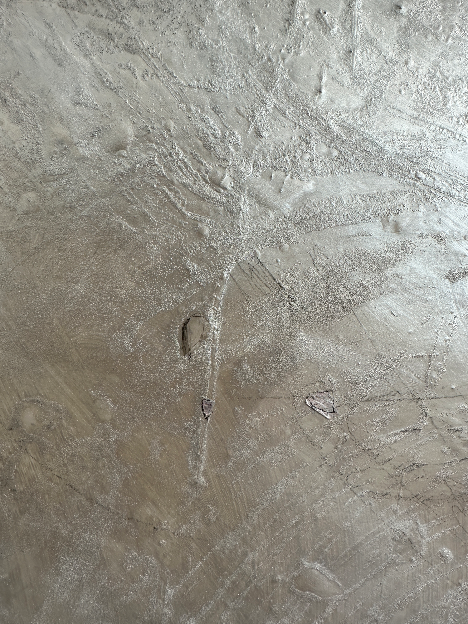 13546EF0-FBA2-44E7-832B-959863DD1DDA