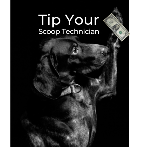 Tip.png