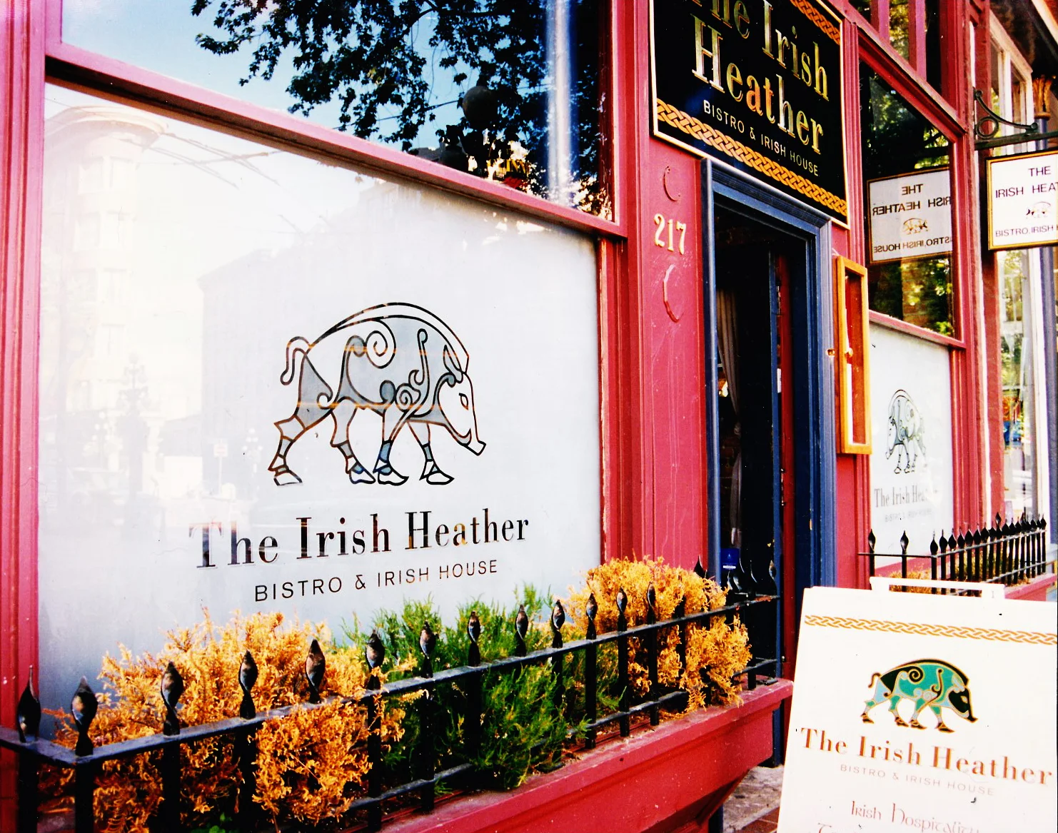 The Irish Heather