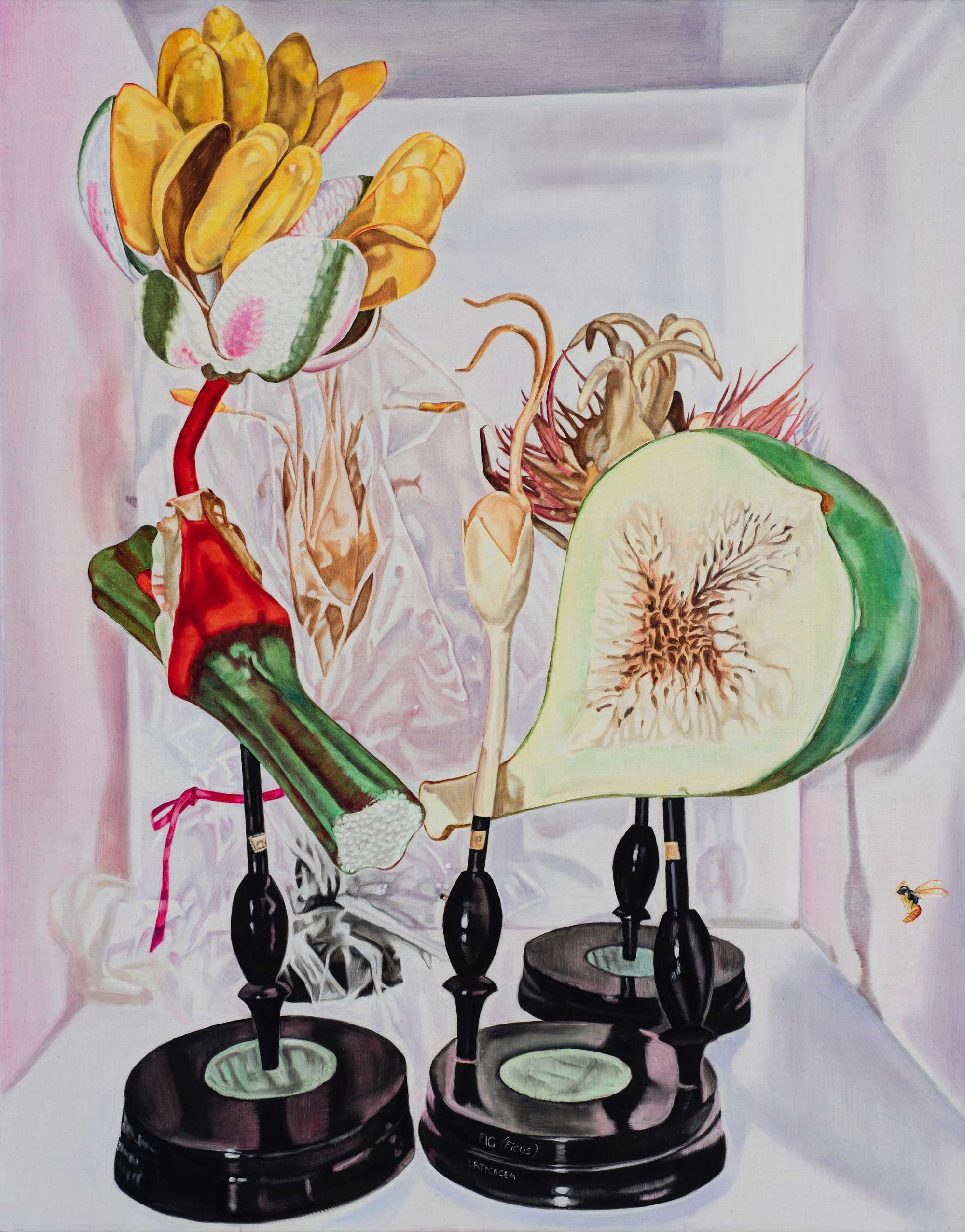   Still life with fig and wasp,  2018  84 x 66cm oil on linen 