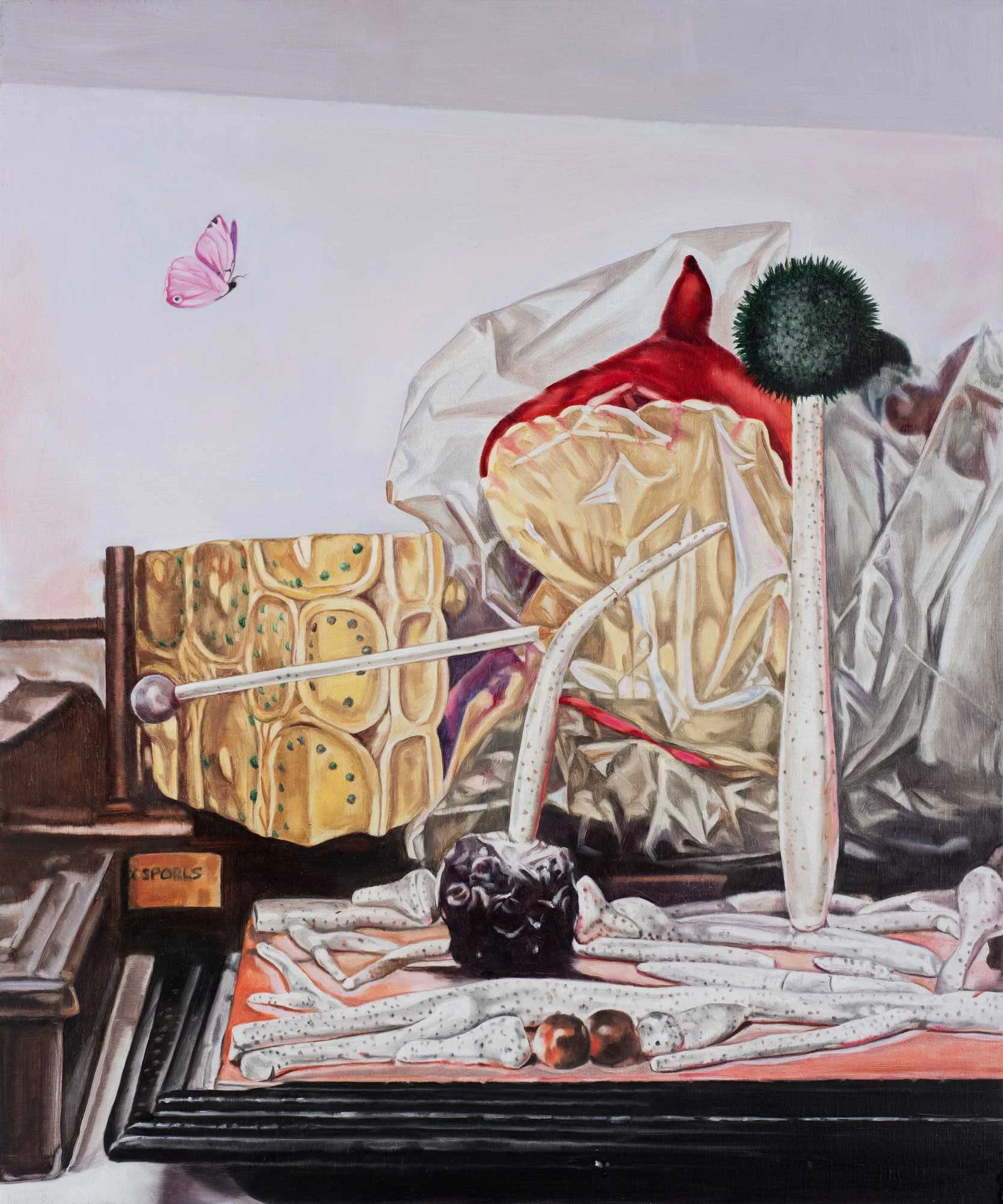 Still life with fungi and butterfly, 2019 66 x 56cm oil on linen