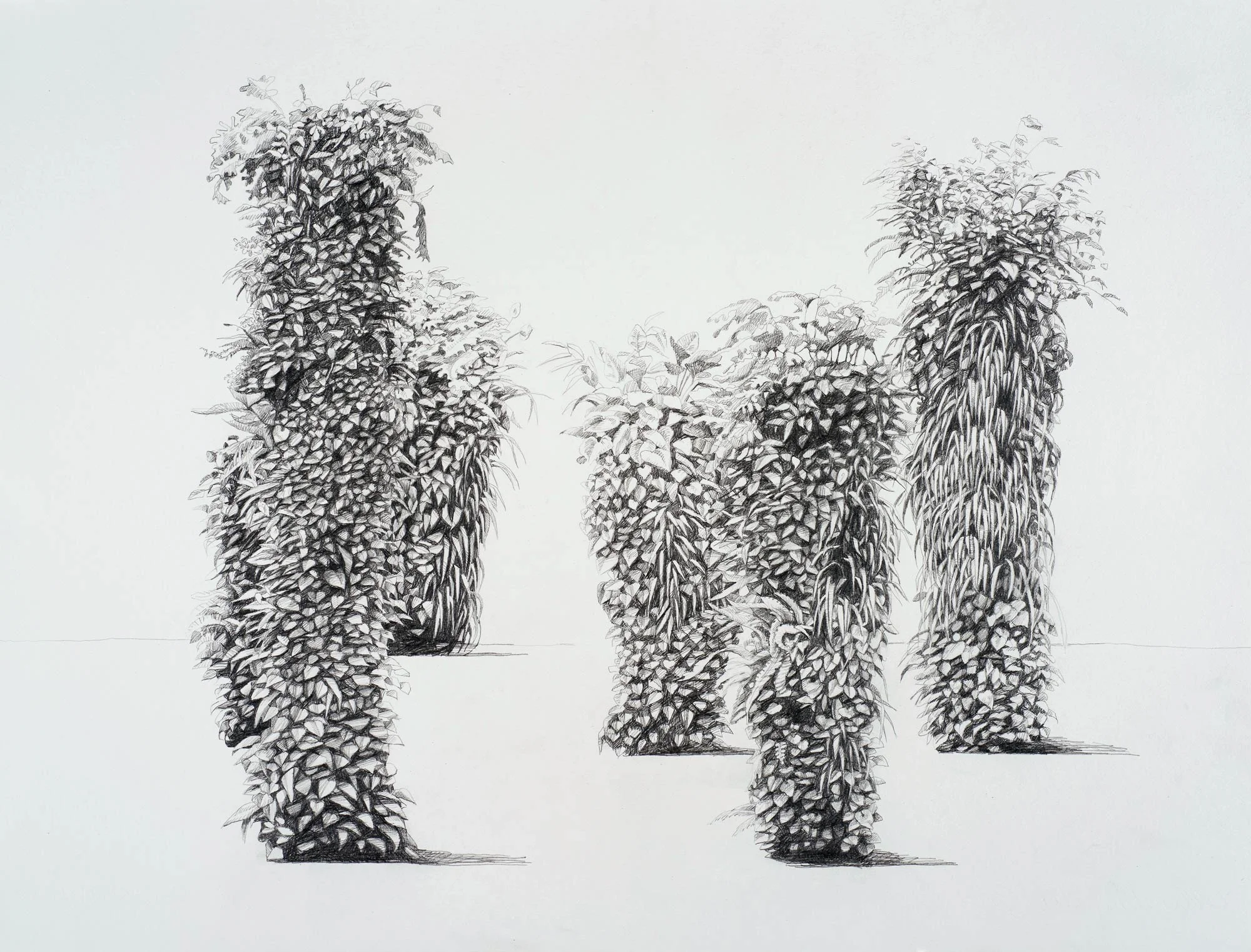 Lanscaped garden , 2015 57.5 x 76.5cm graphite on paper