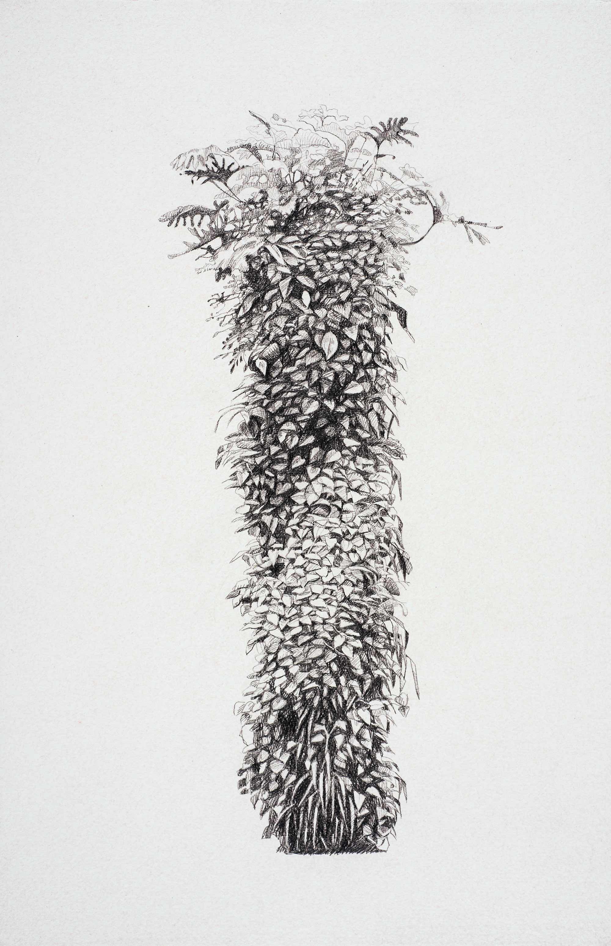   Small column #2 , 2015 50.5 x 33 cm graphite on paper 