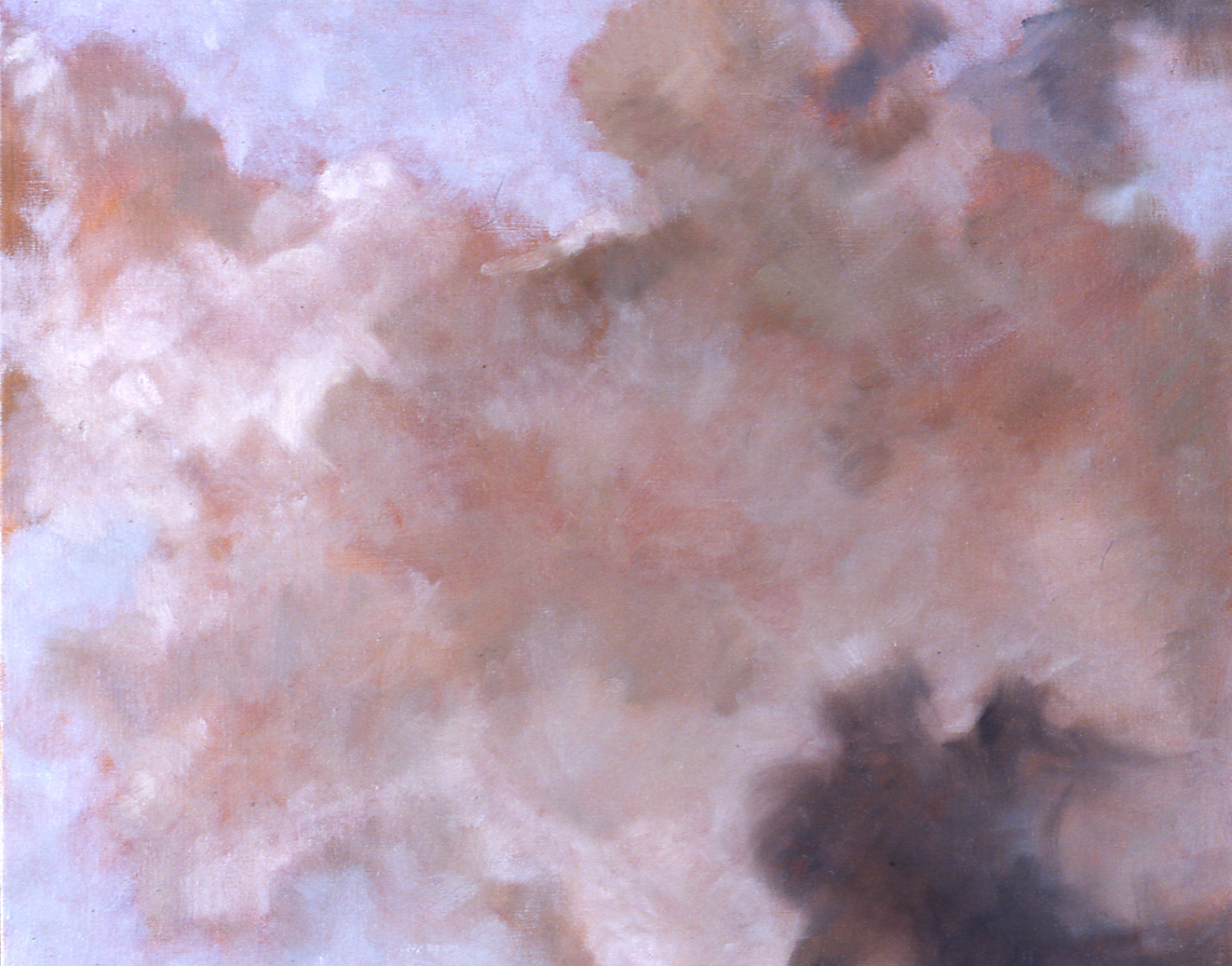   Looking Up  (detail), 1993 51 x 66cm oil on linen 