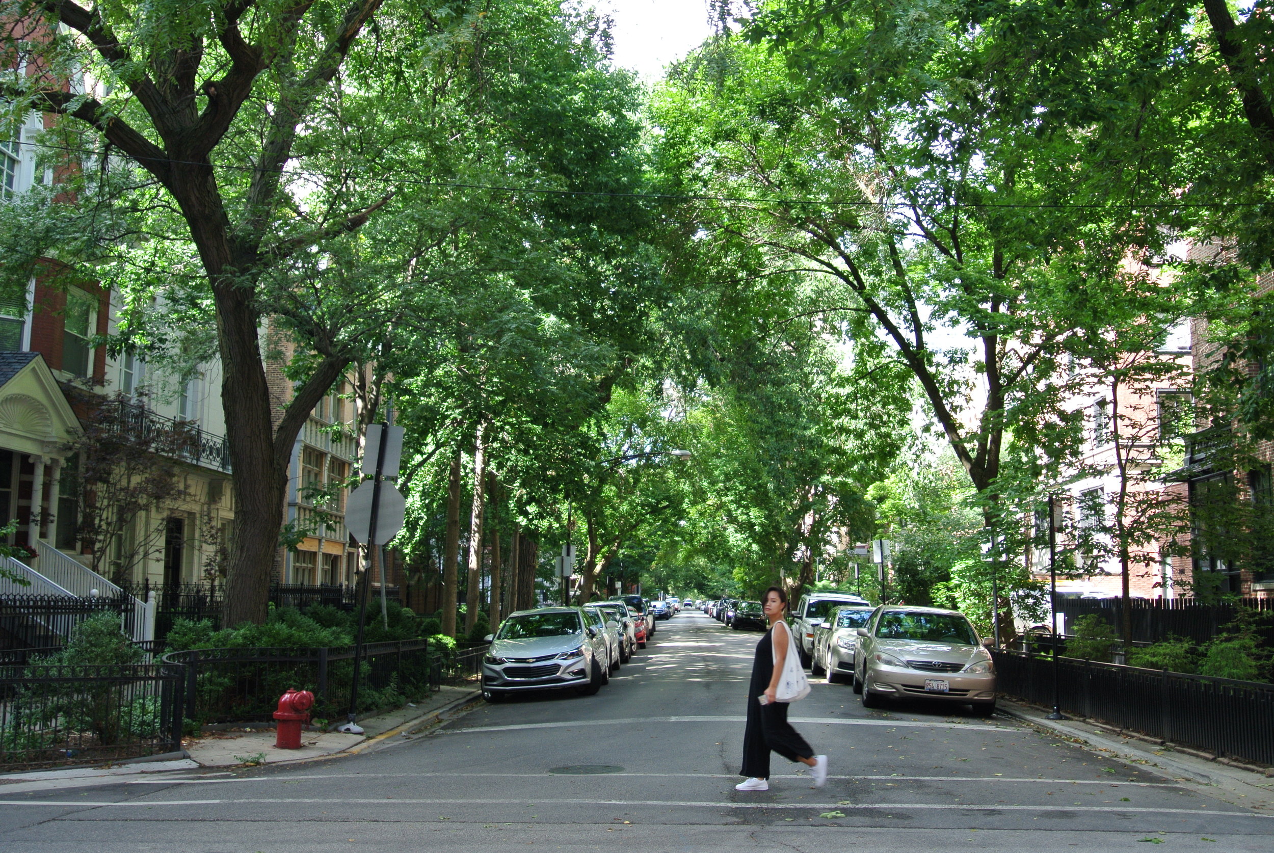 STREETCROSSINGCHICAGO2 2.JPG