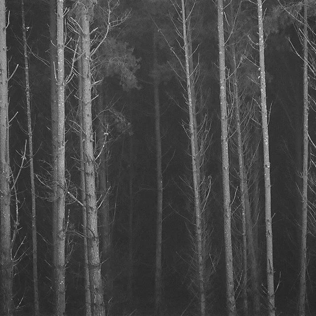 #filmphotography #filmisnotdead #istillshootfilm #ishootfilm #woodend #thefilmcommunity #minolta #35mm #travel #filmphotographic #filmphoto #awesupply #visitvictoria #exploreaustralia