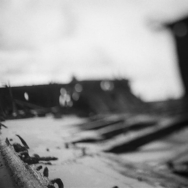 Minolta SRT - Minolta MC 50mm 1.4 - Freelensing
Kodak TriX - 400
