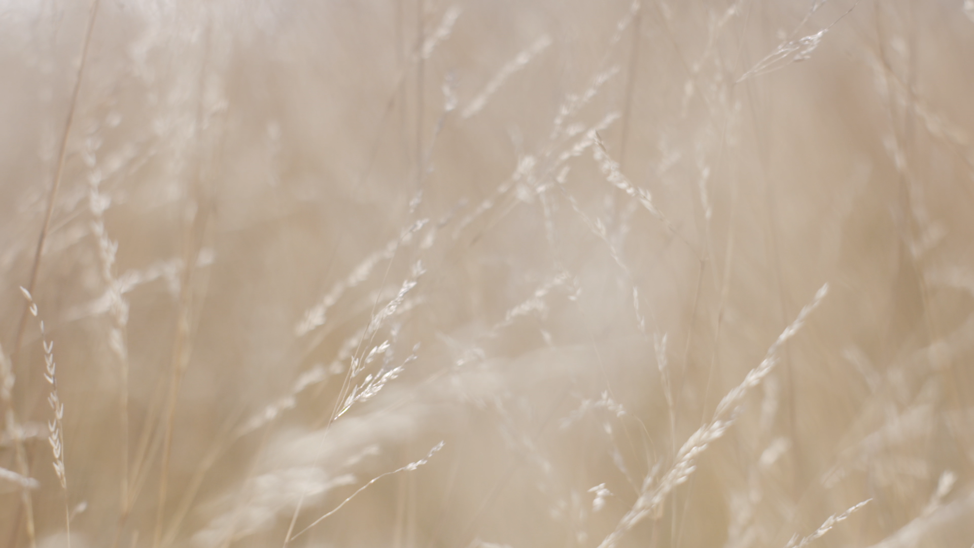 Showreel V10.00_00_49_21.Still022.png