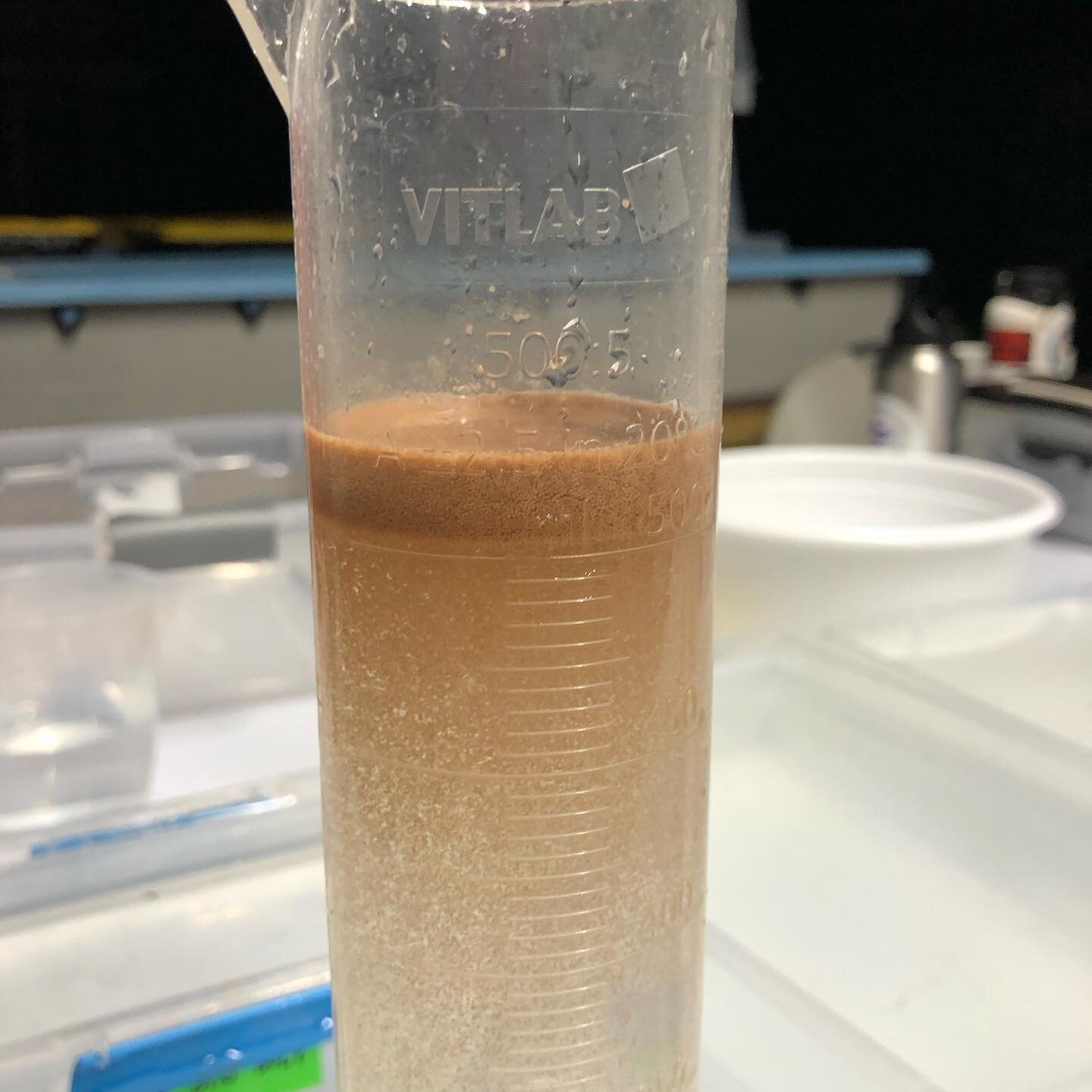Making coral babies last night in St. Croix, USVI. 🤙🏻👶🏻 #coralspawning #coralspawning2020