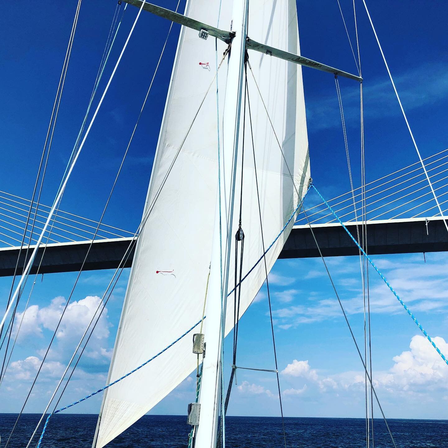 I love all the different lines in this shot! Blue Heeler flying her Yankee Jib as we go under the Sunshine Skyway&hellip;.headed to the boatyard for some much needed TLC! Can&rsquo;t wait to bring her down to her new home in St. Croix. #blueheeler #s