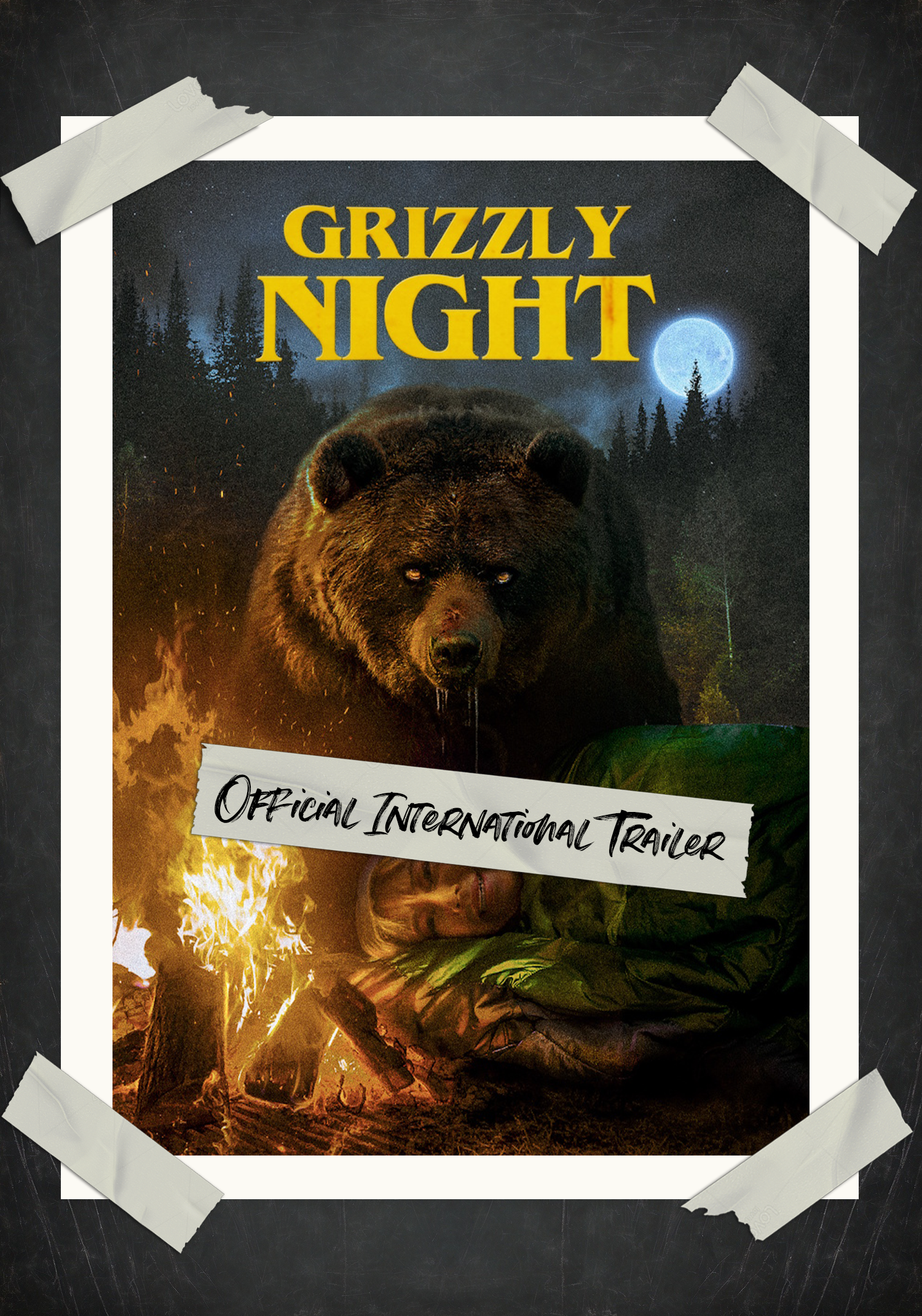 PageThumbnail_Tape_GrizzlyNight02.png