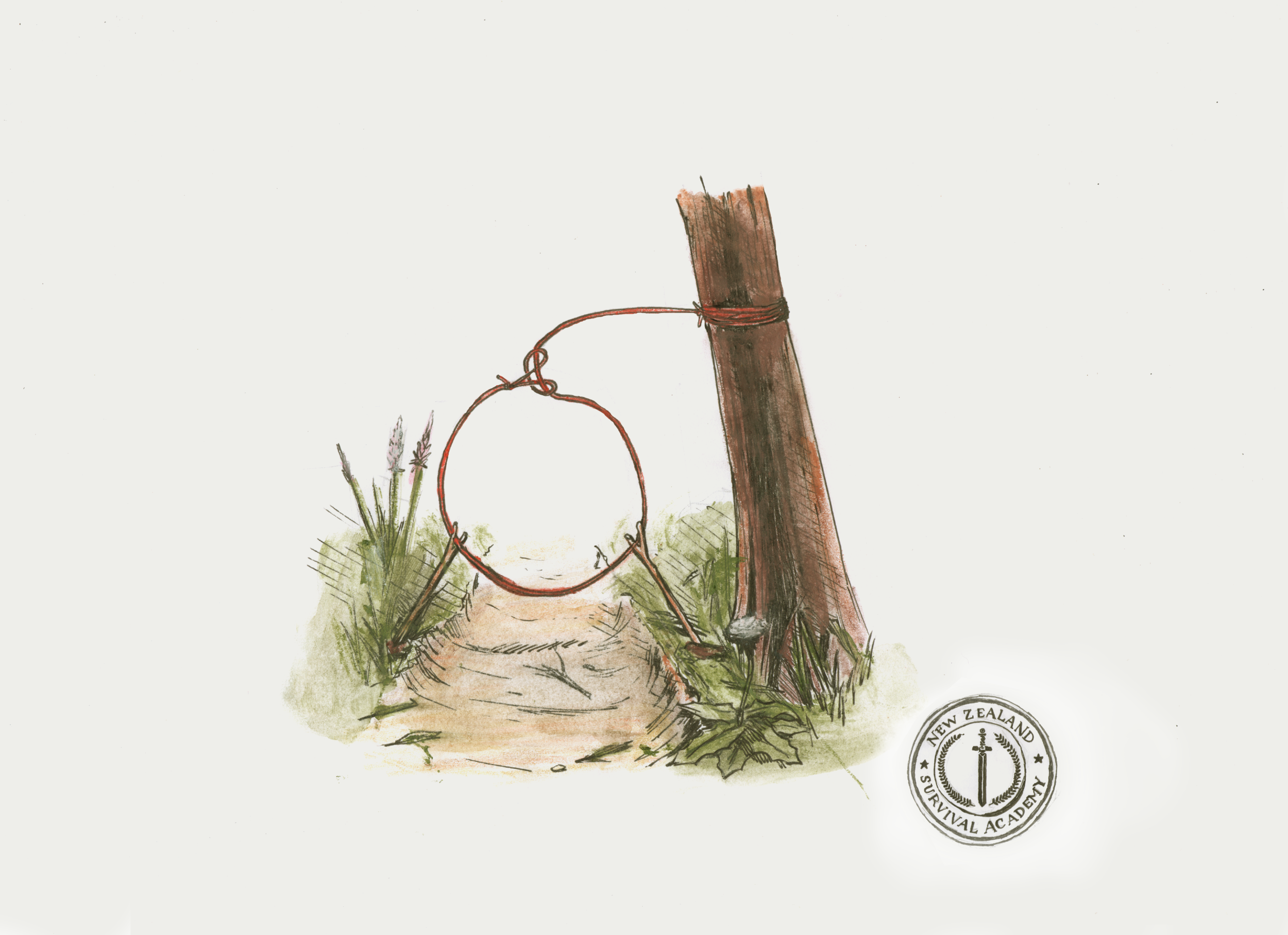 Traps and Snares 101 — New Zealand Survival Academy Bushcraft and Survival  course, workshops
