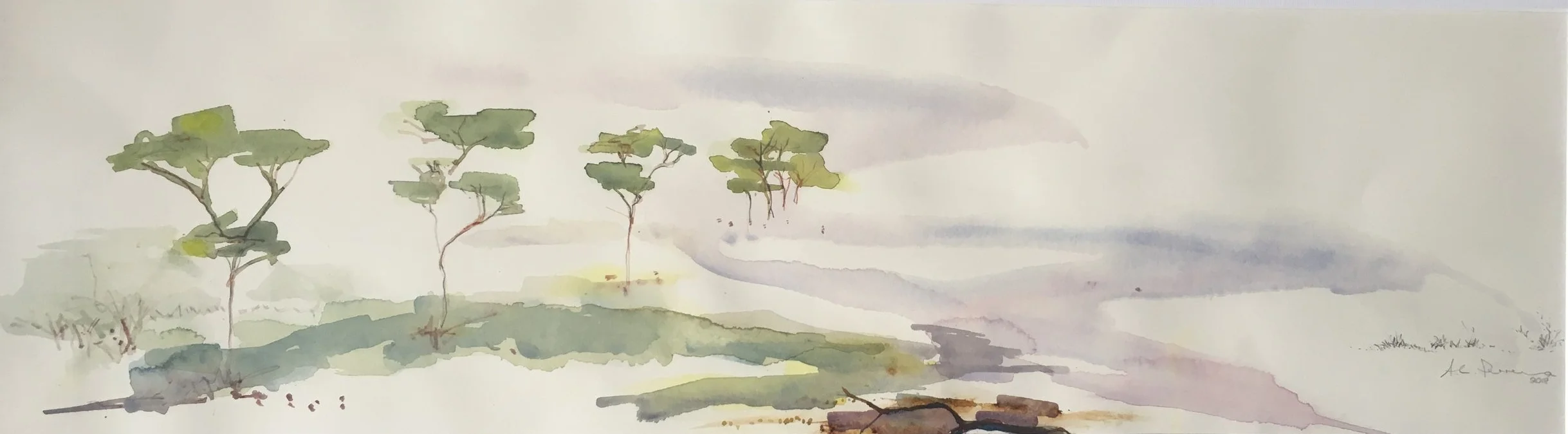 Trees Along The Road