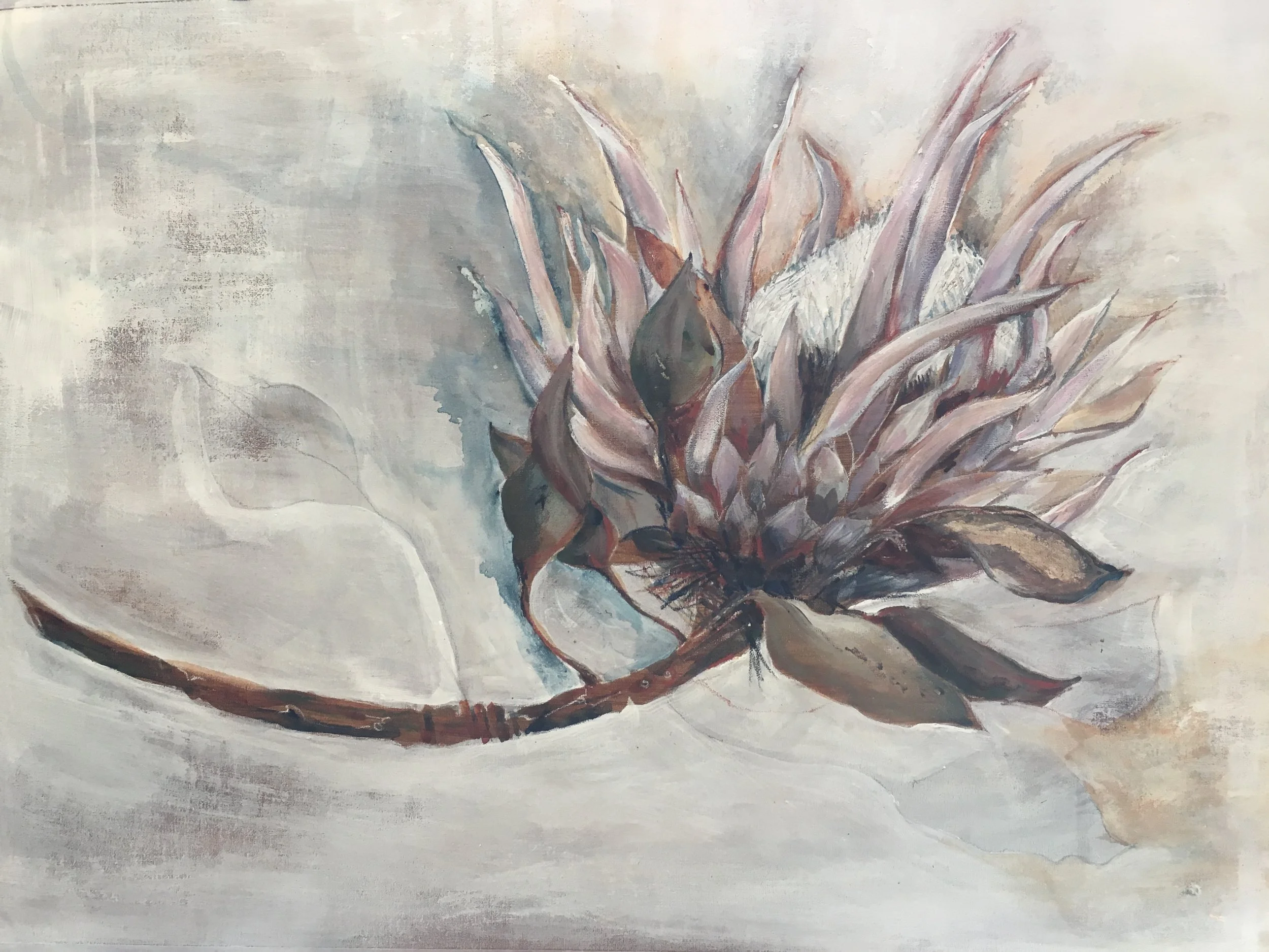 Protea I