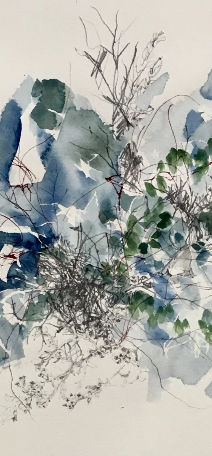 Dirk Hartog Battlers, Blue Detail