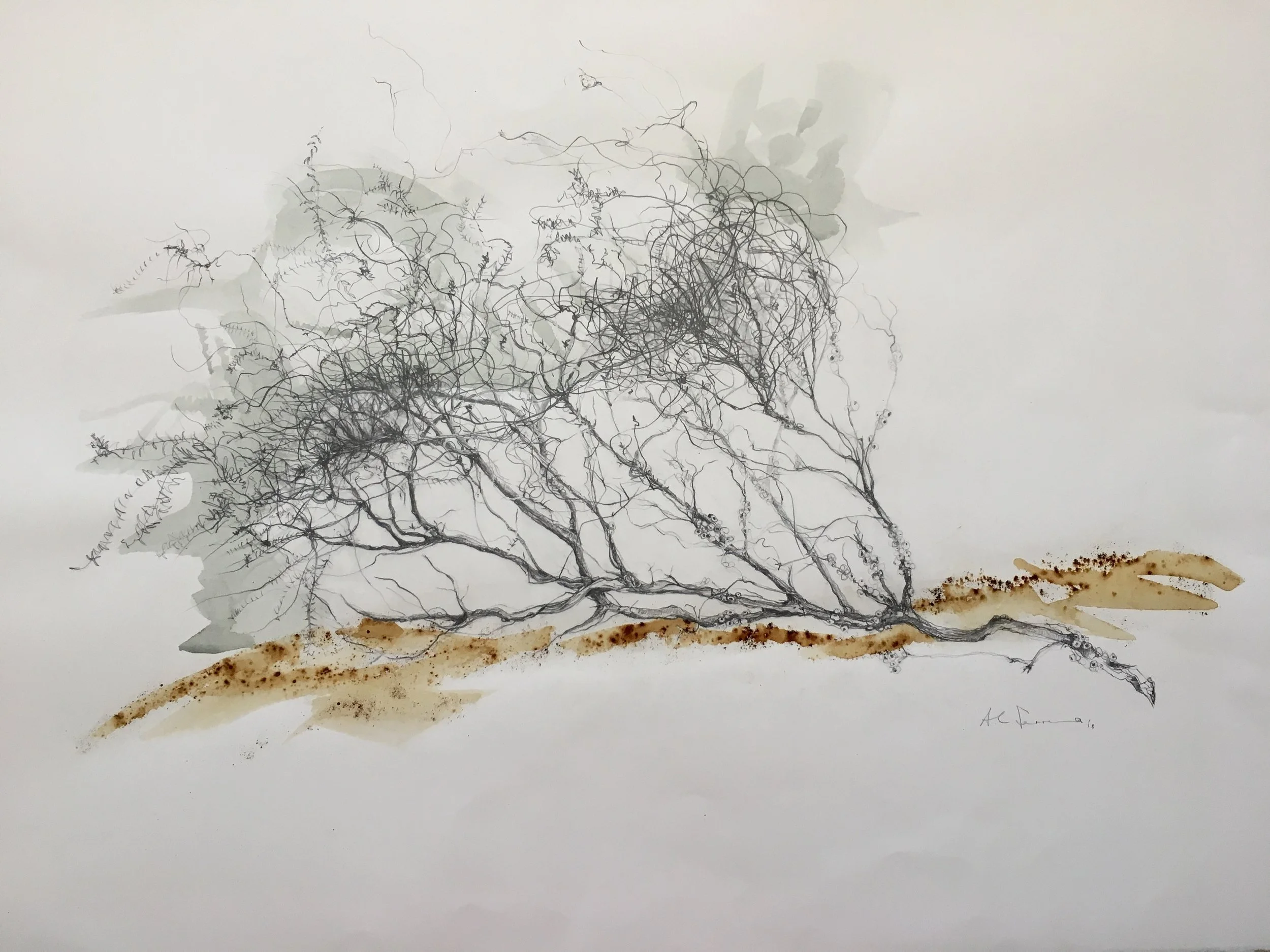Dune Dweller Busselton