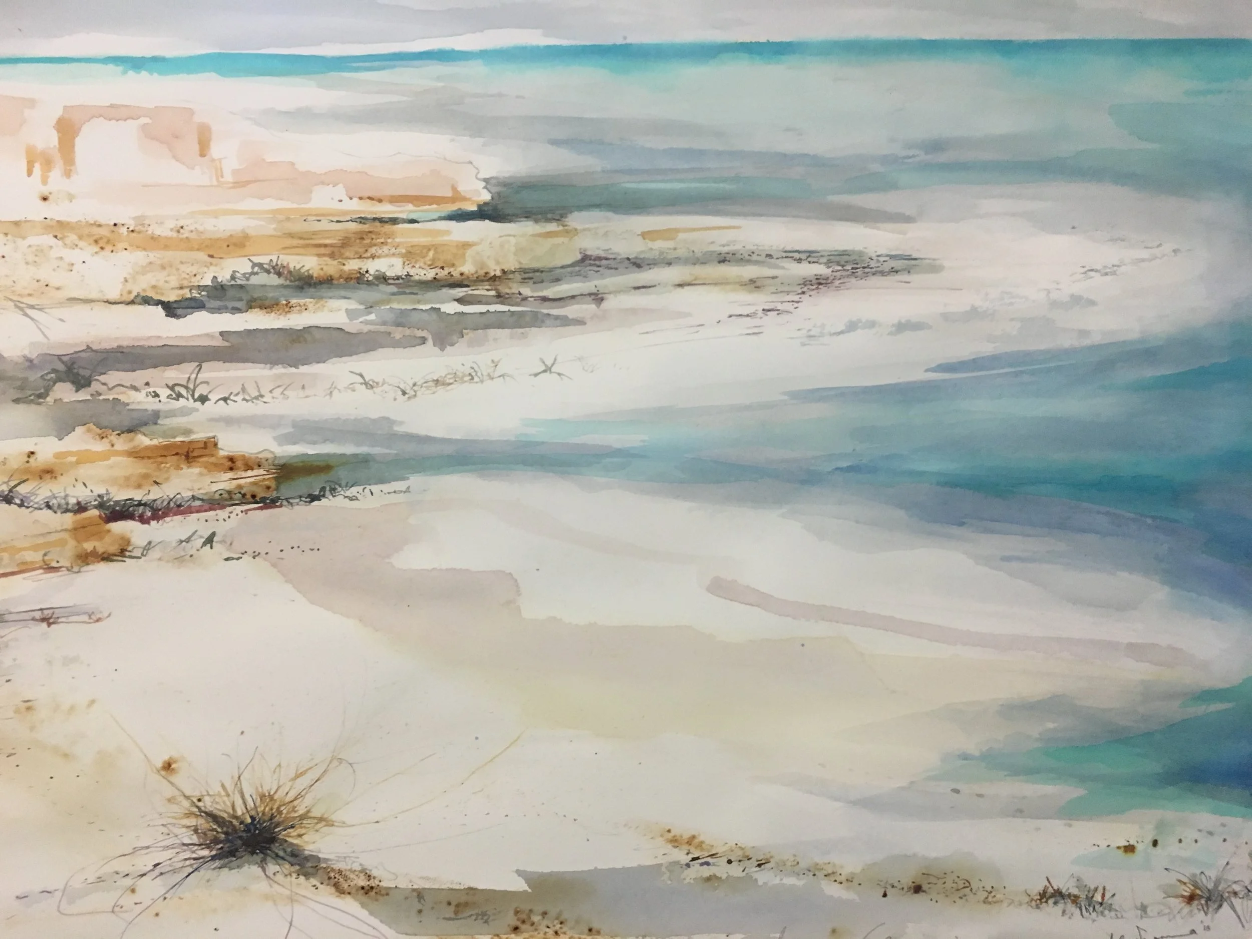 Shark bay