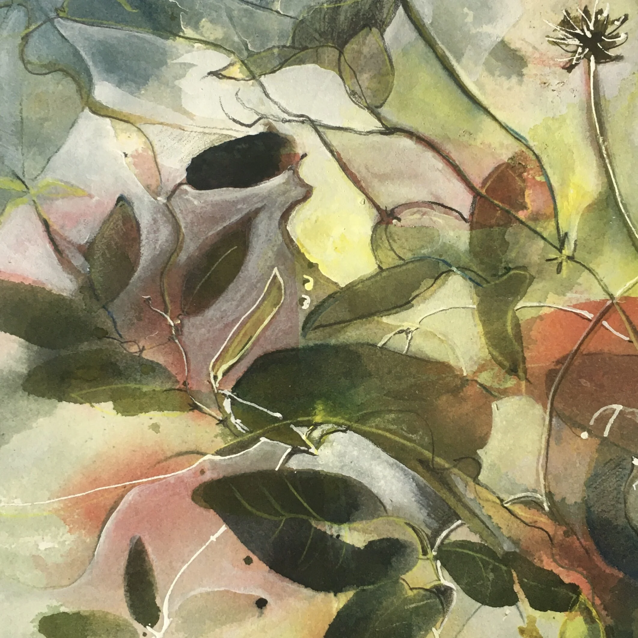 Forest Floor investigation 2