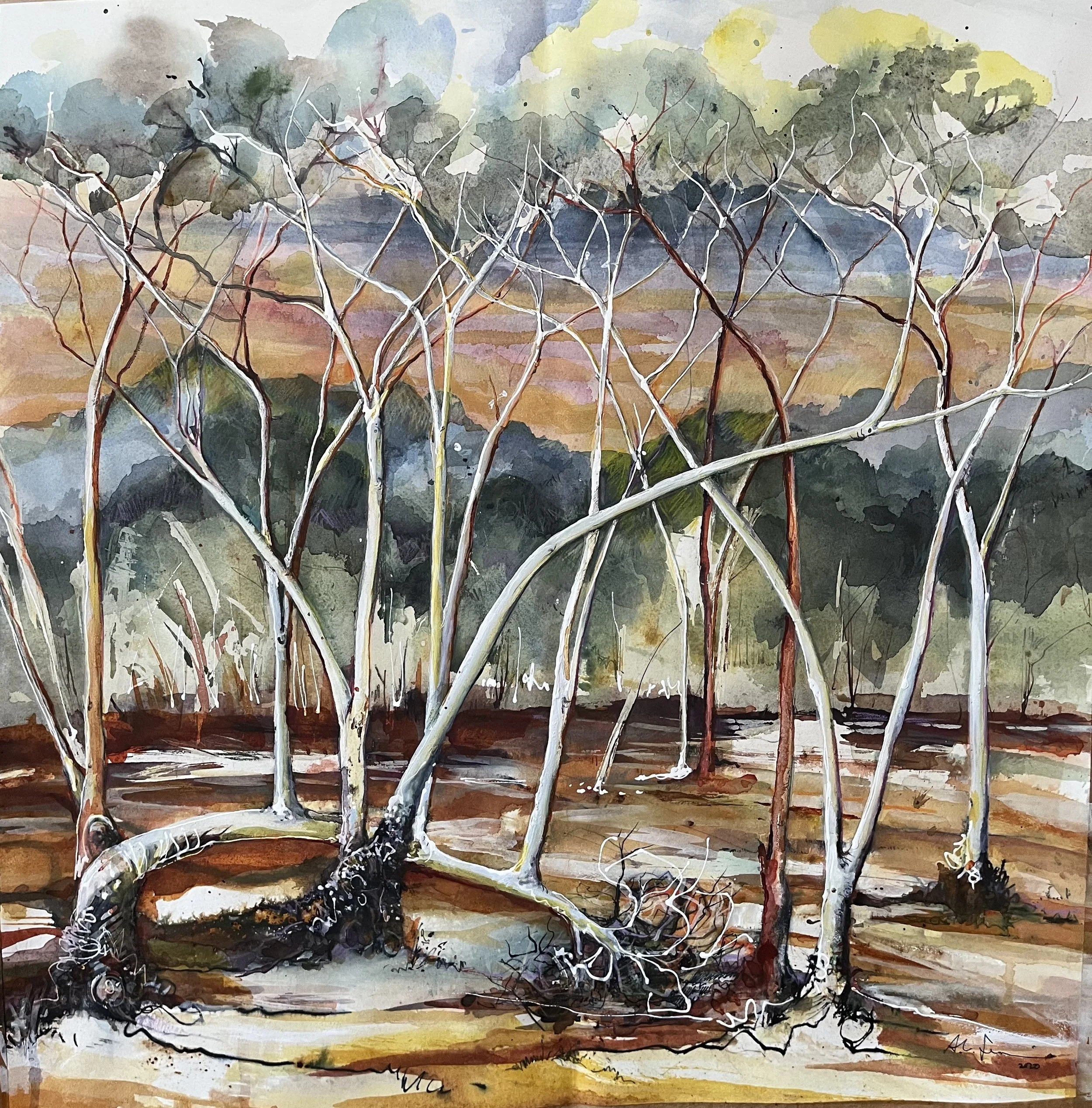 HELENA AURORA RANGES 2